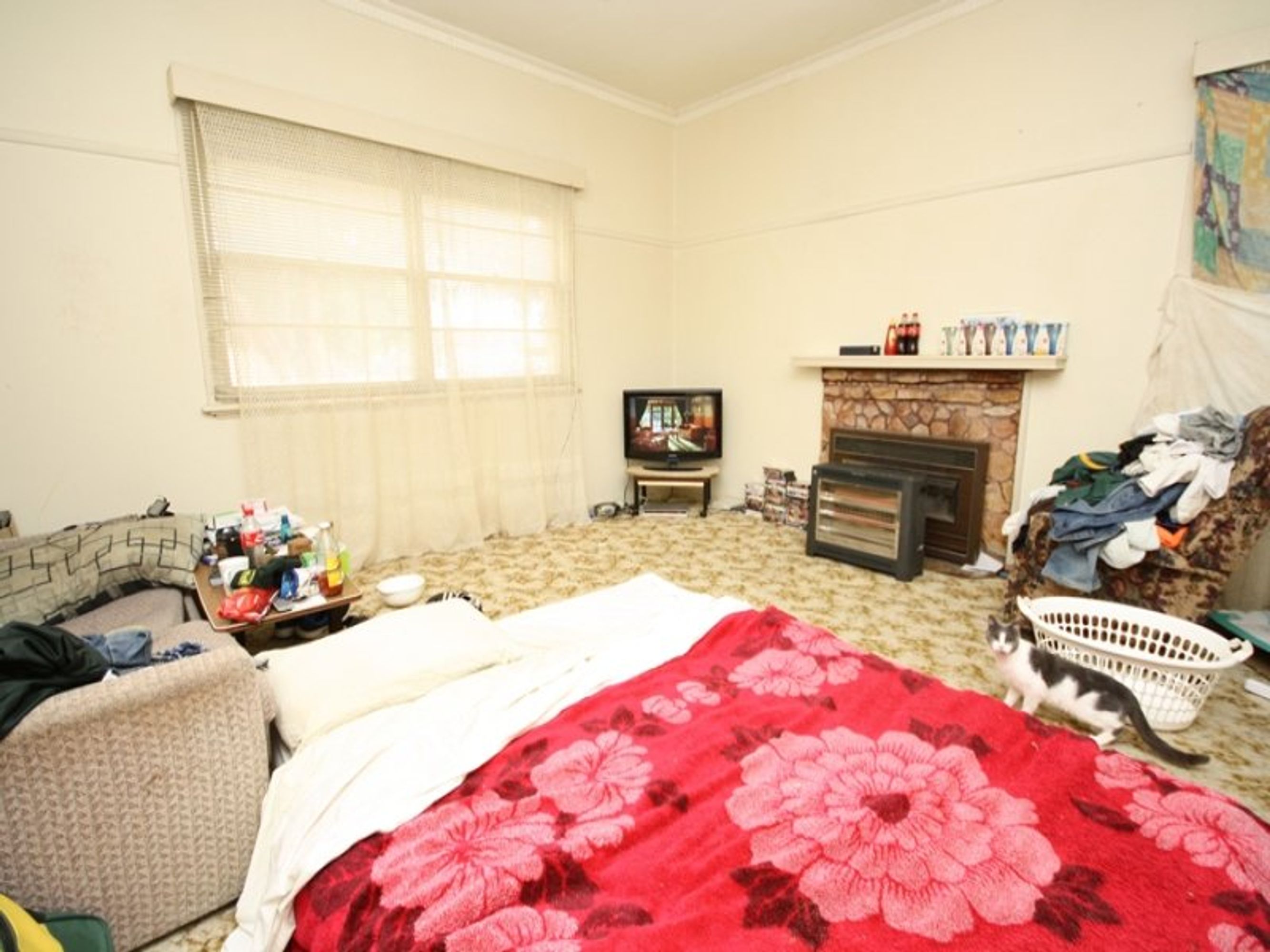 52 Victoria Street, Dimboola VIC 3414, Dimboola - Thumbnail 7