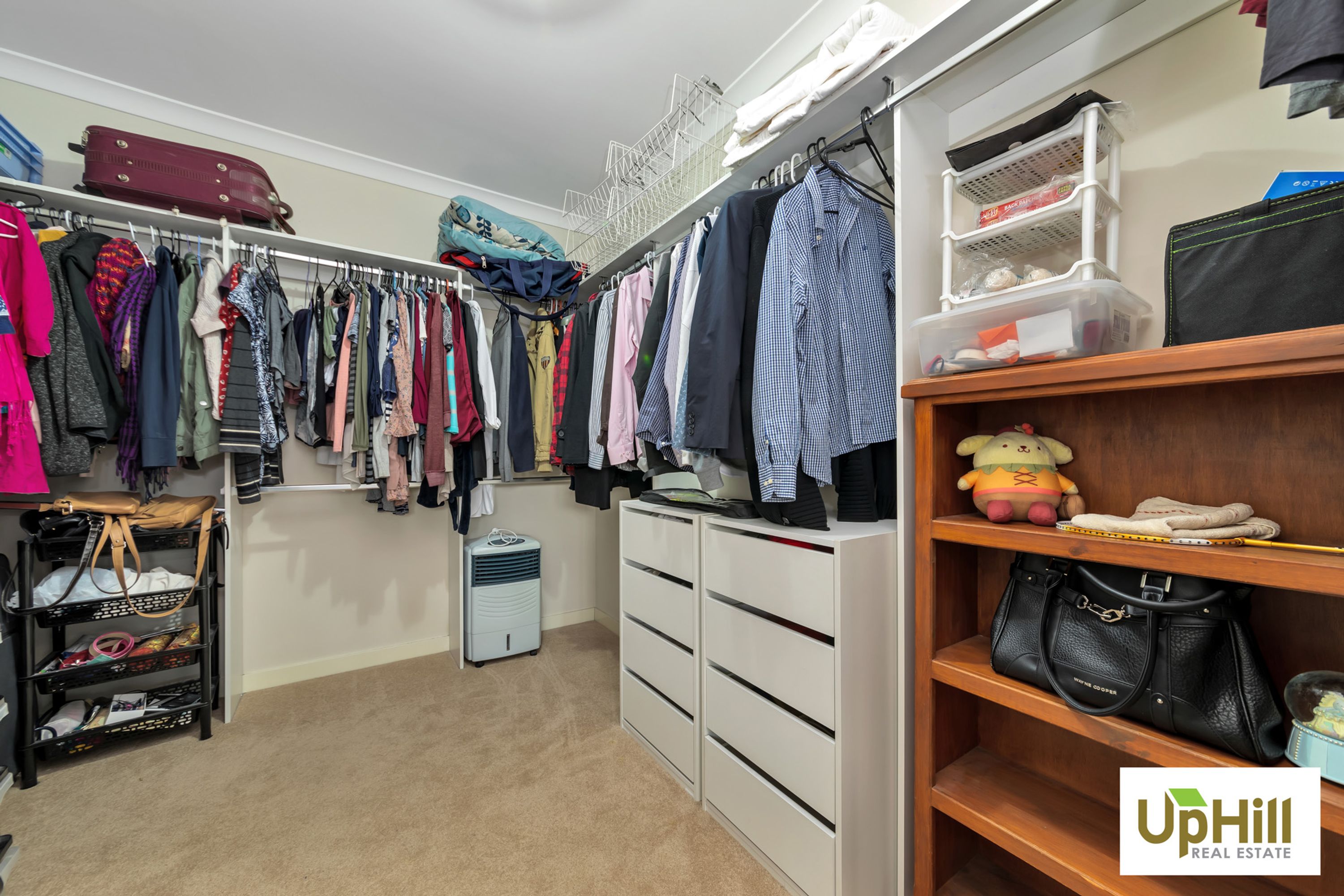 37 PALOMINO AVENUE, Clyde North - Thumbnail 3