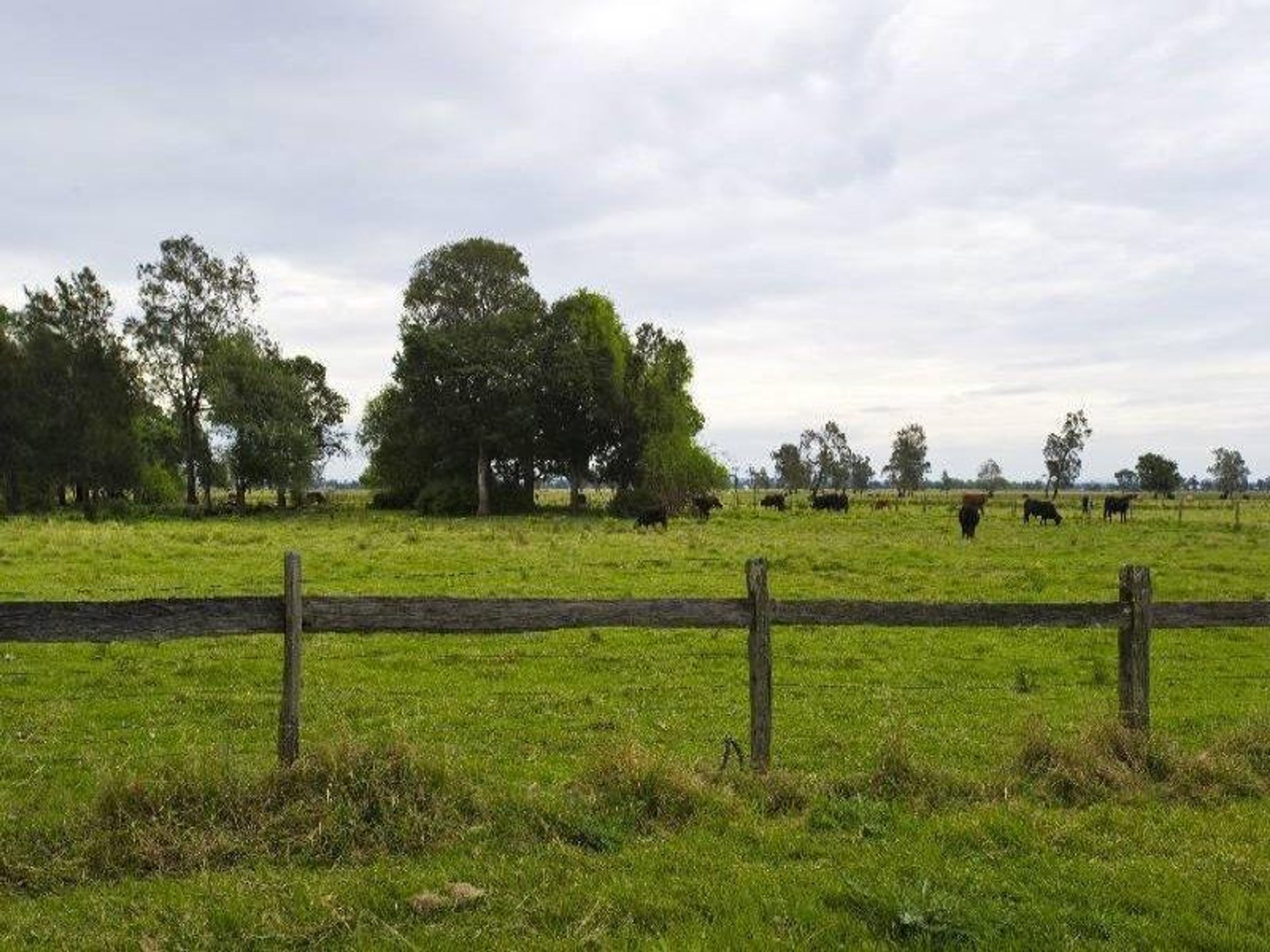 75 Gilletts Ridge Road, Tucabia - Thumbnail 3