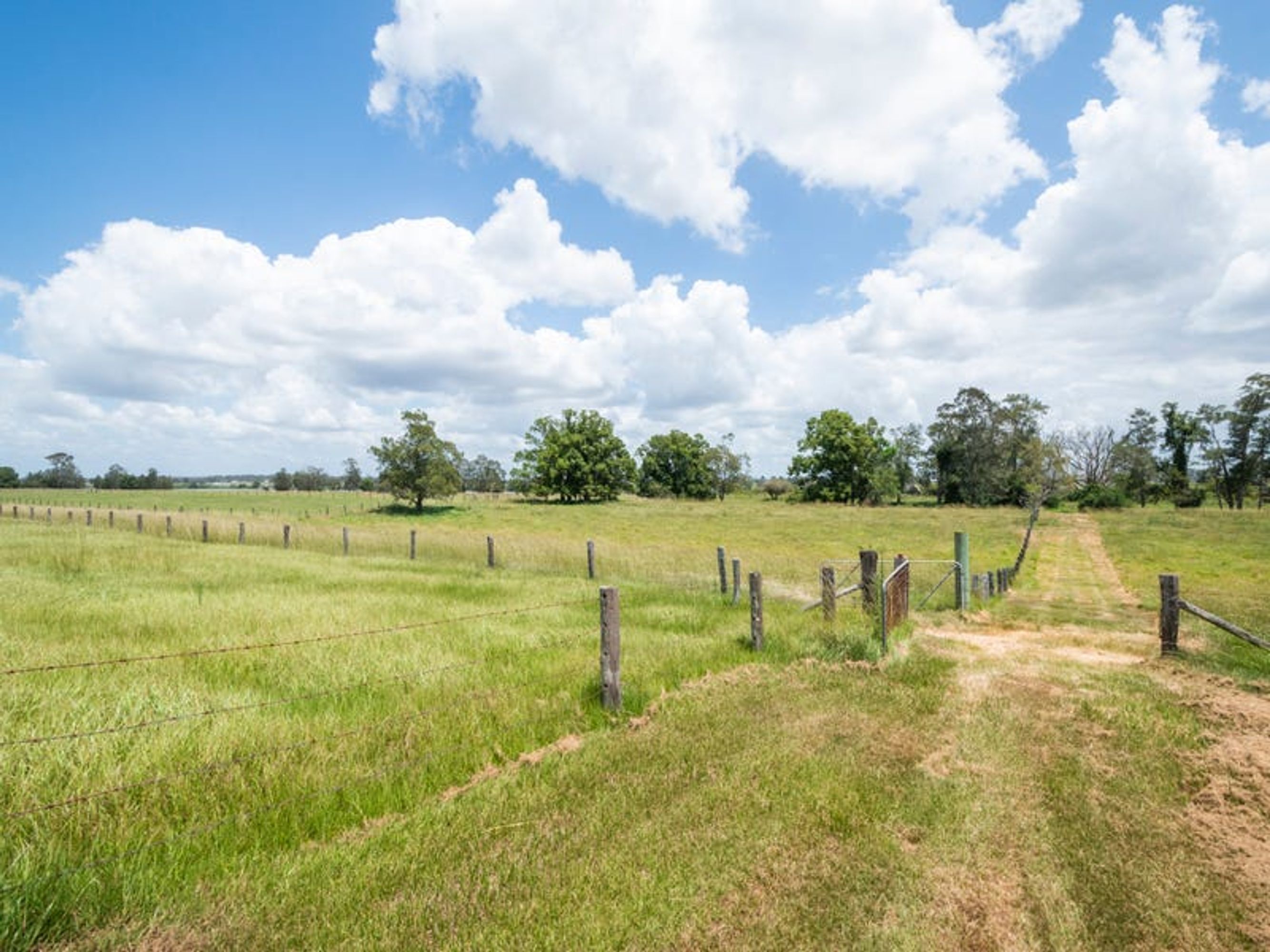 1931 Pacific Highway, Cowper - Thumbnail 8