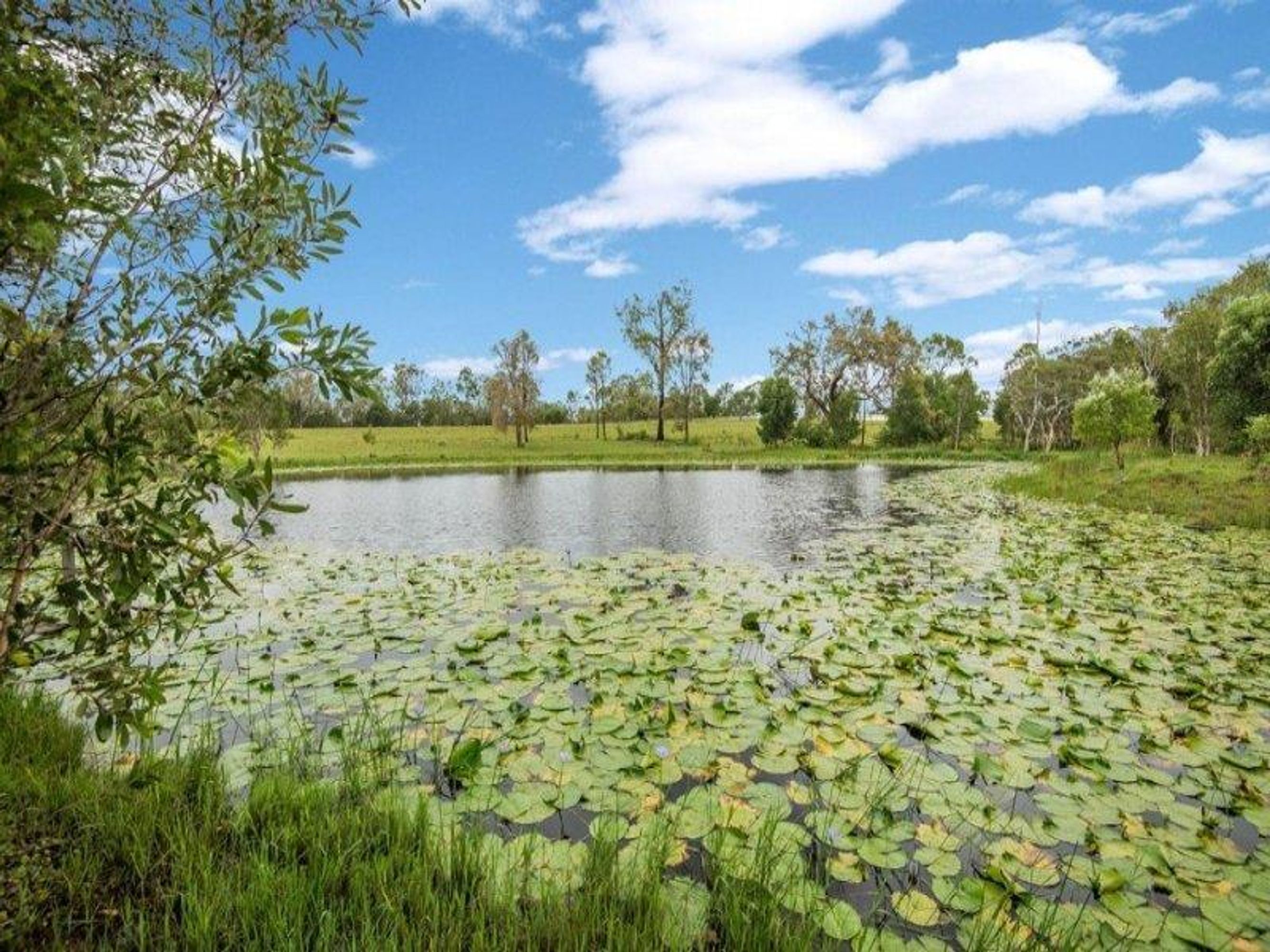 Lot 2 Summerland Way, Mountain View - Thumbnail 4