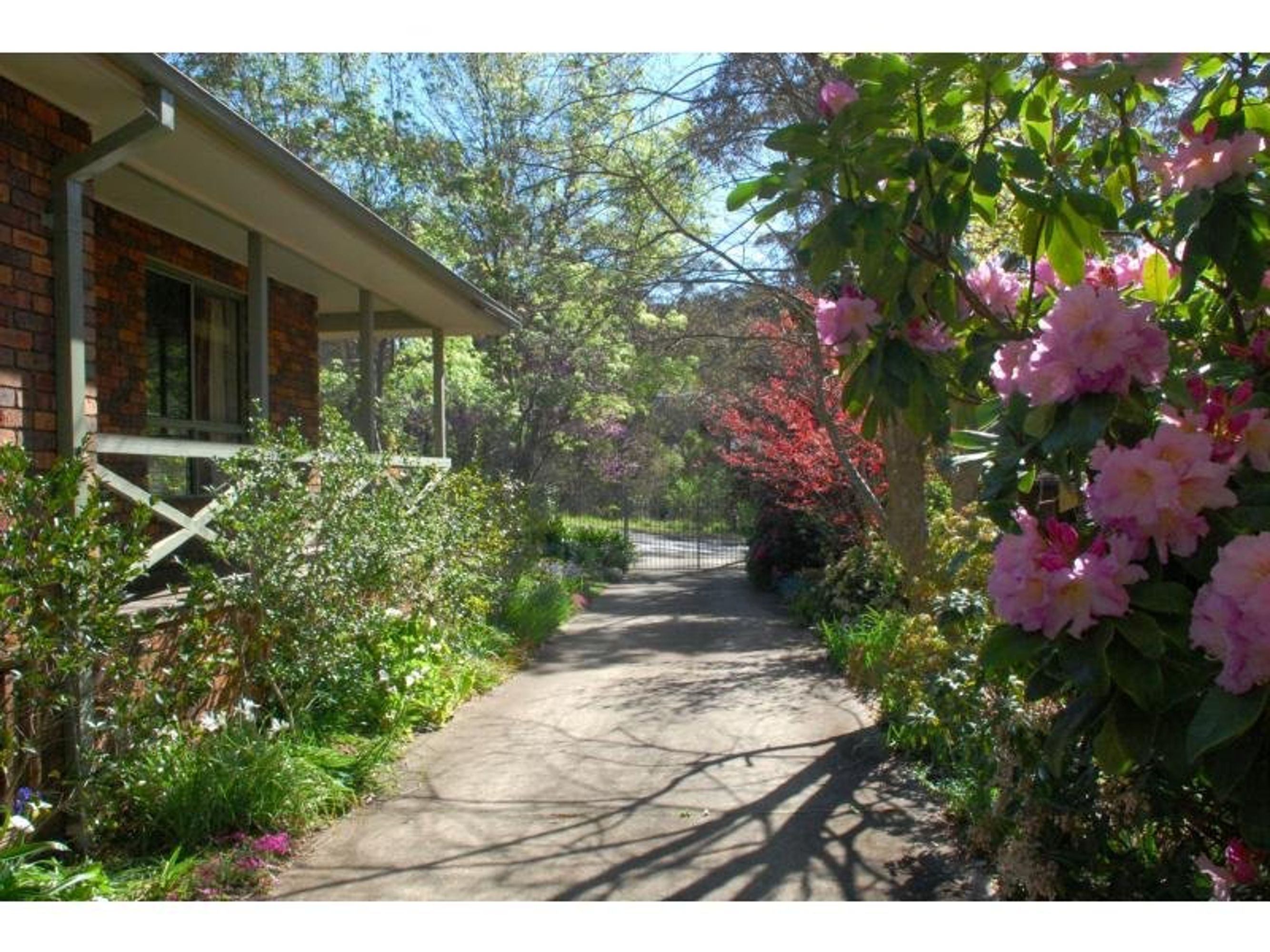 12 Carlton Street, Katoomba - Thumbnail 7