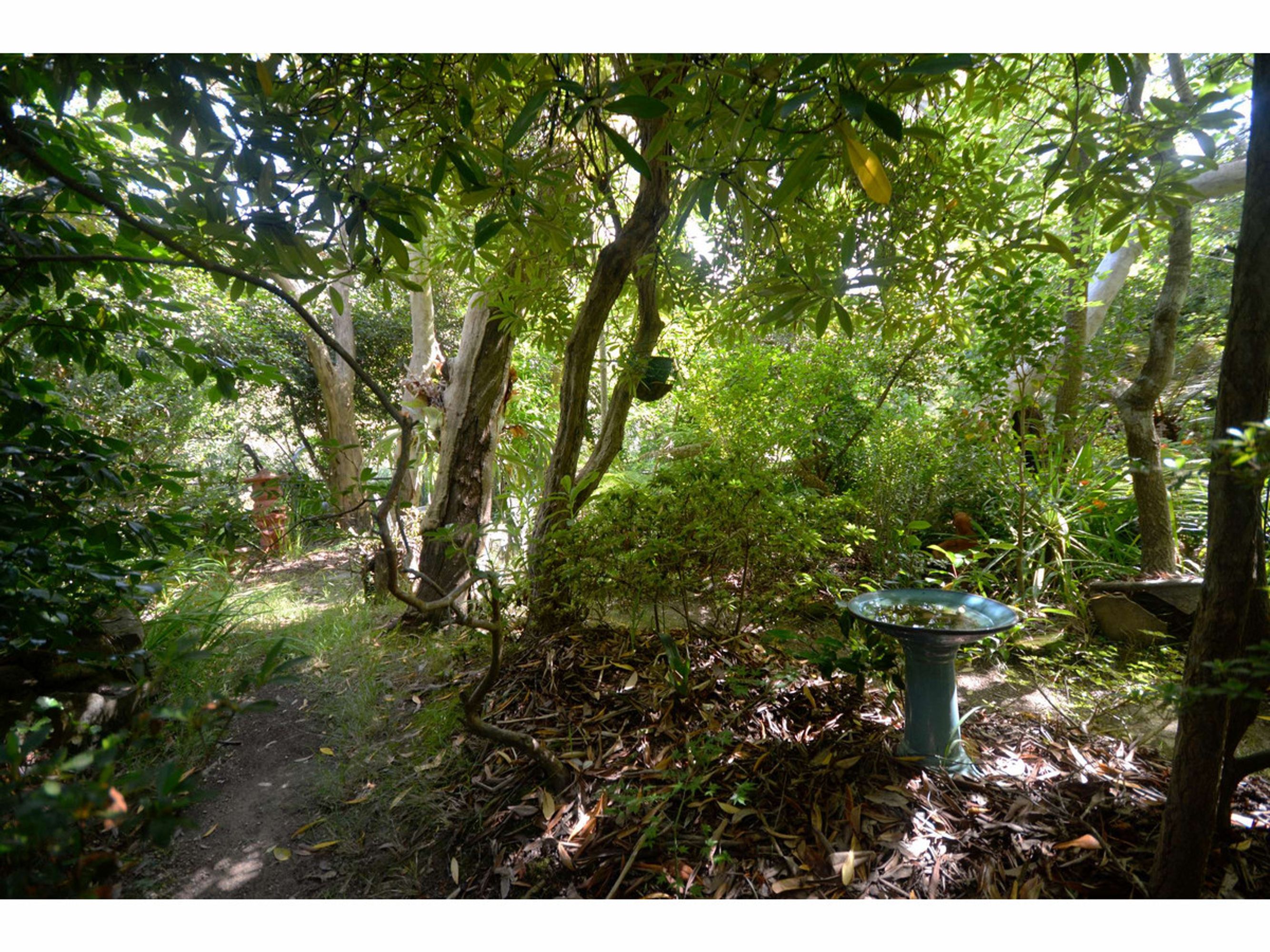 54 Rawson Parade, Leura - Thumbnail 4