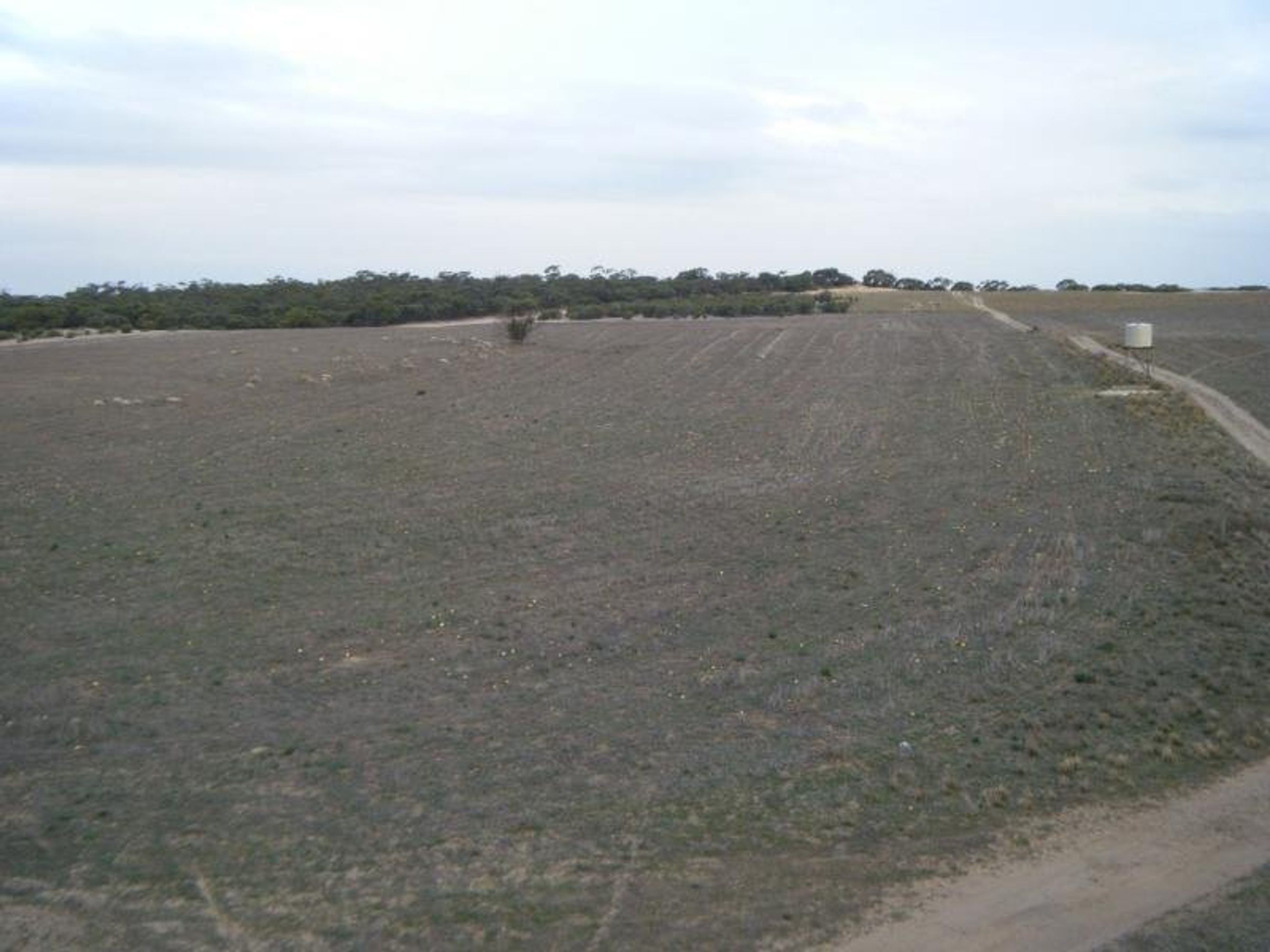 1174 Bowhill Road, Murray Bridge SA 5253, Murray Bridge - Thumbnail 7