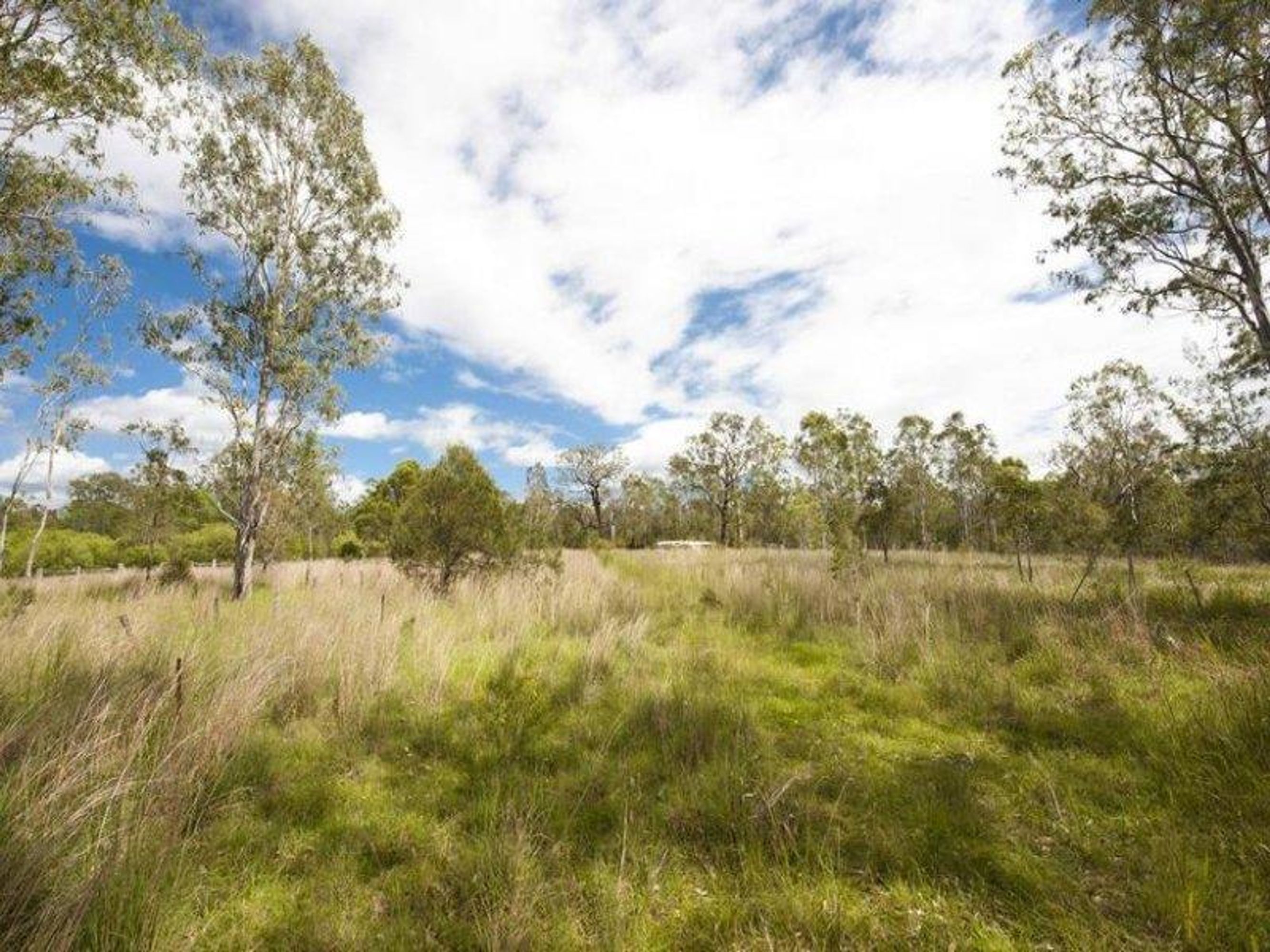 95 Sunnyside Road, Glenugie - Thumbnail 4