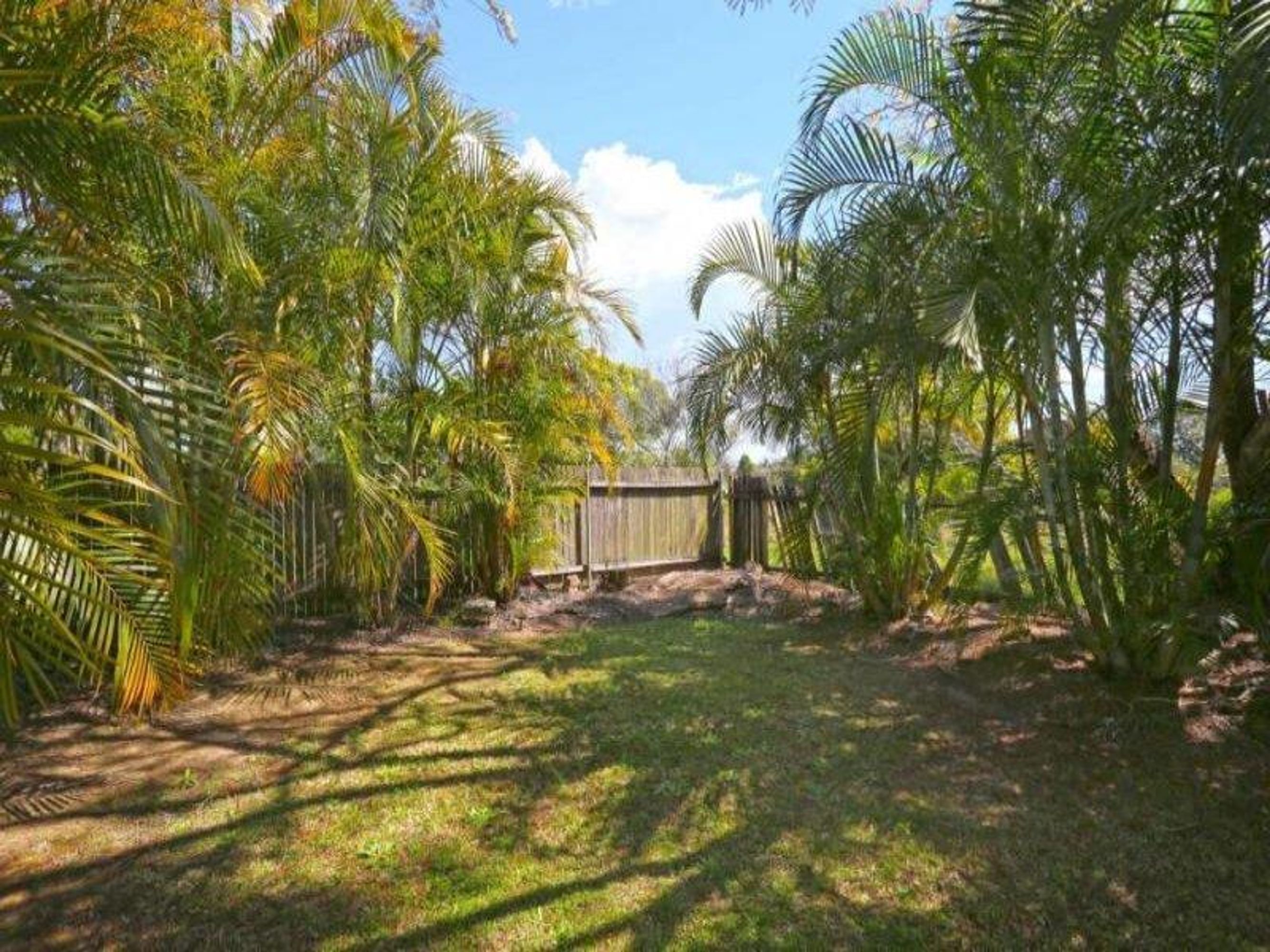 231 Mary Street, Grafton - Thumbnail 6