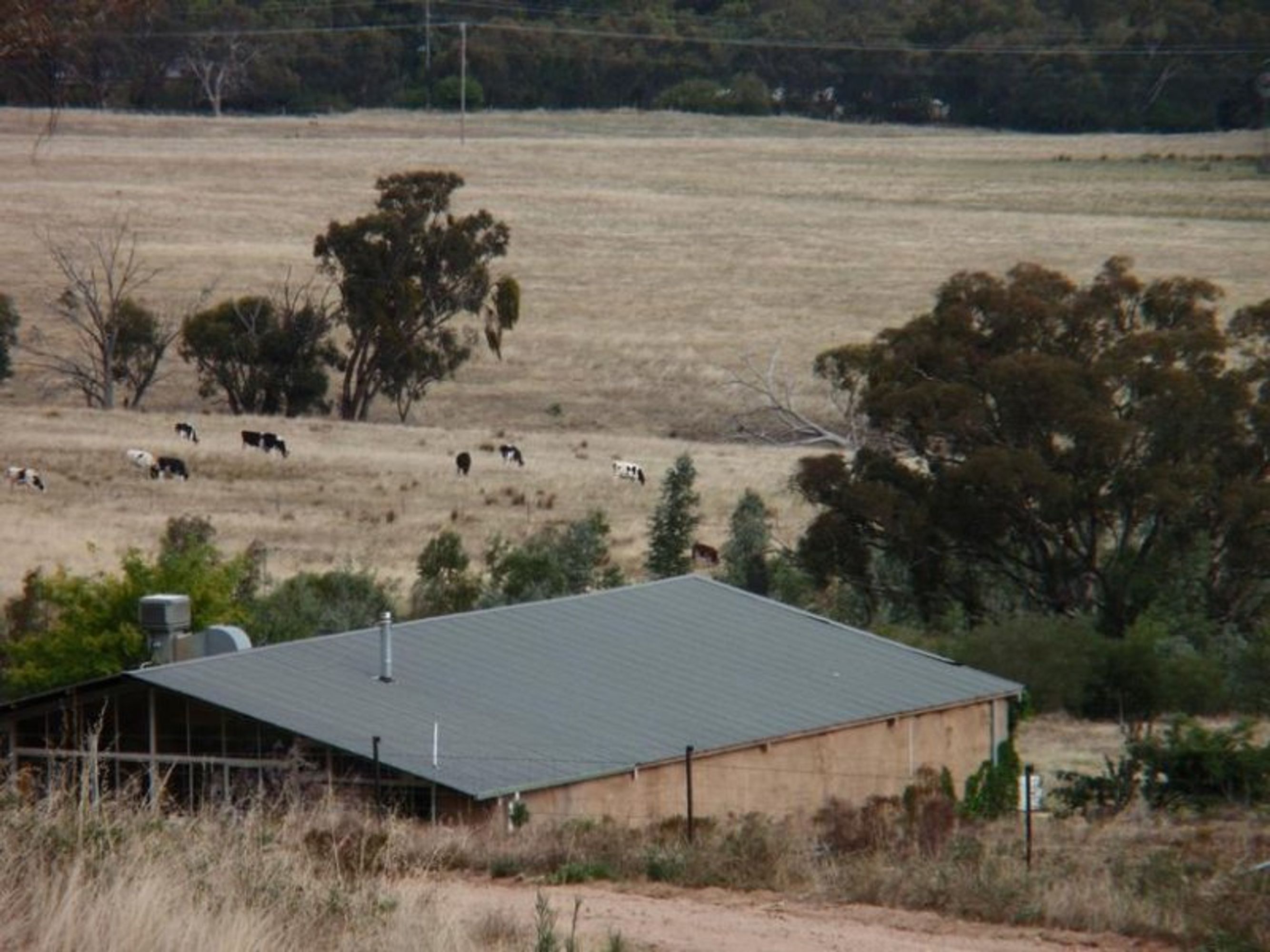 wangaratta, Wangaratta - Thumbnail 7