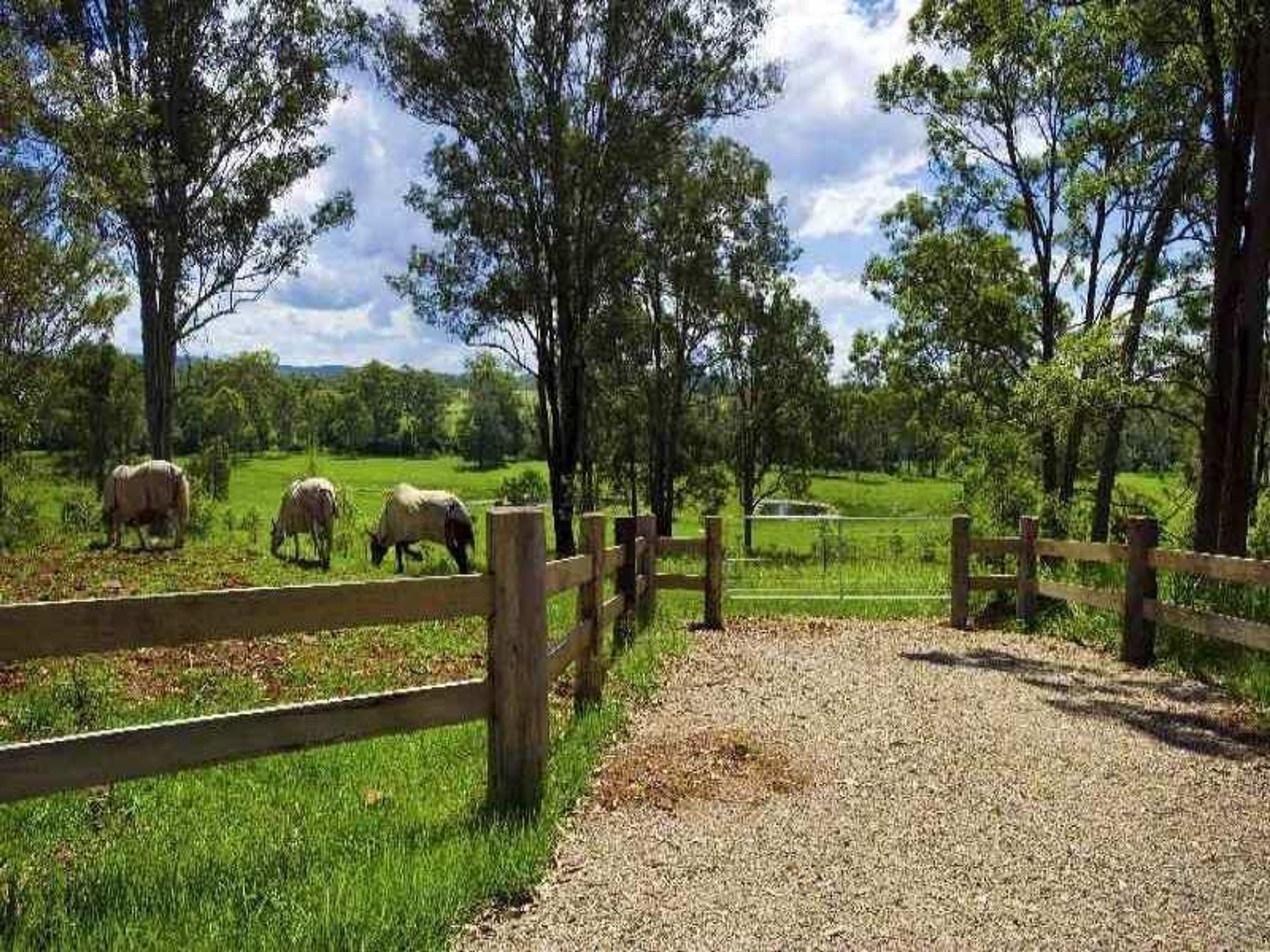 Kangaroo Creek Road, Coutts Crossing - Thumbnail 8