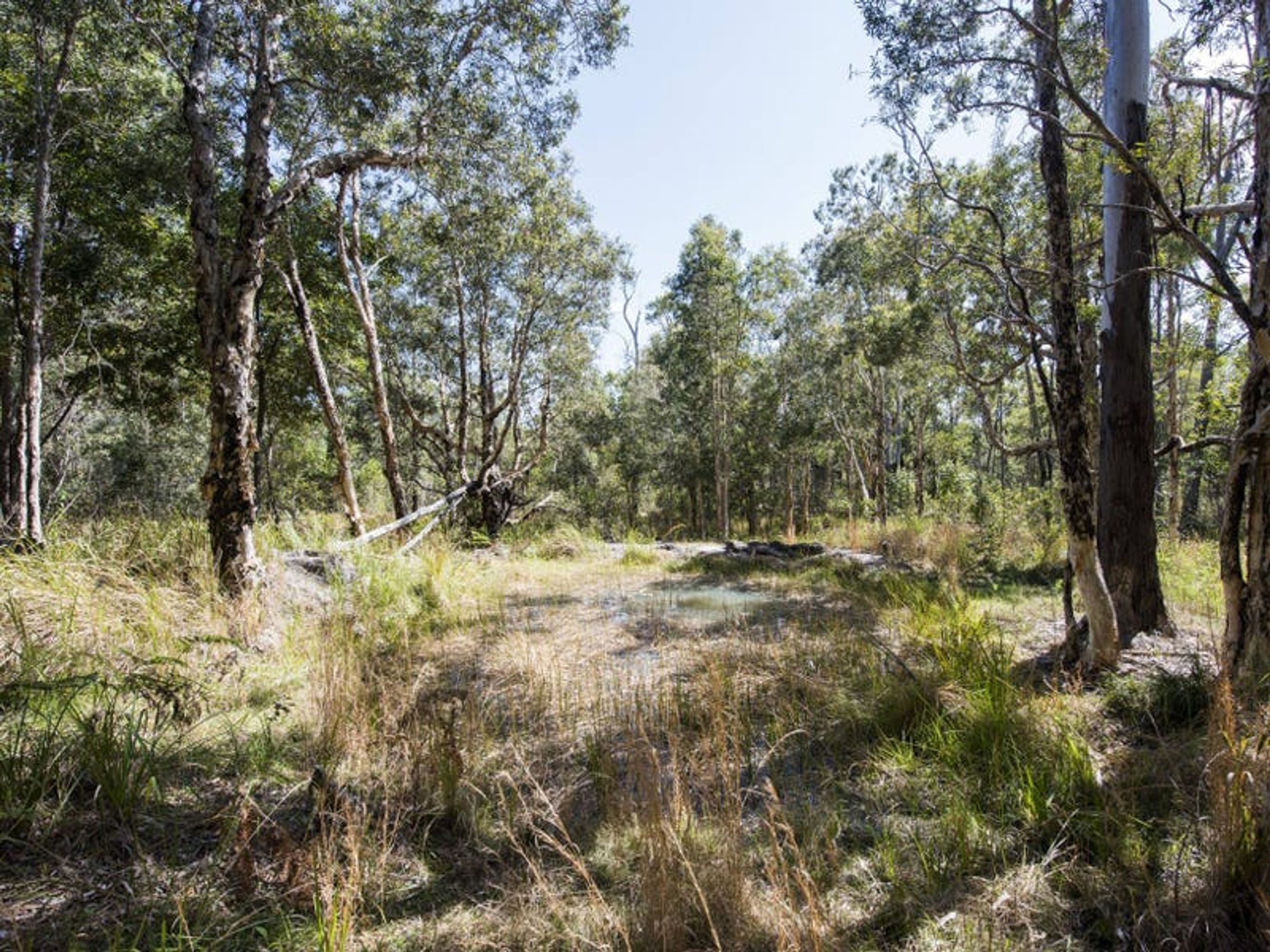 243 Armidale Road, Blaxlands Creek - Thumbnail 5