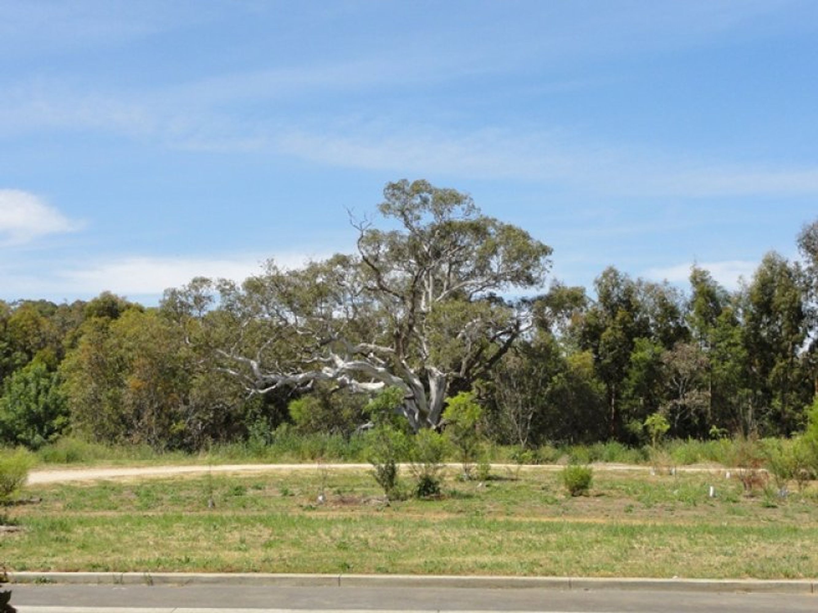 100 Parkview Drive, Mount Barker SA 5251, Mount Barker - Thumbnail 2