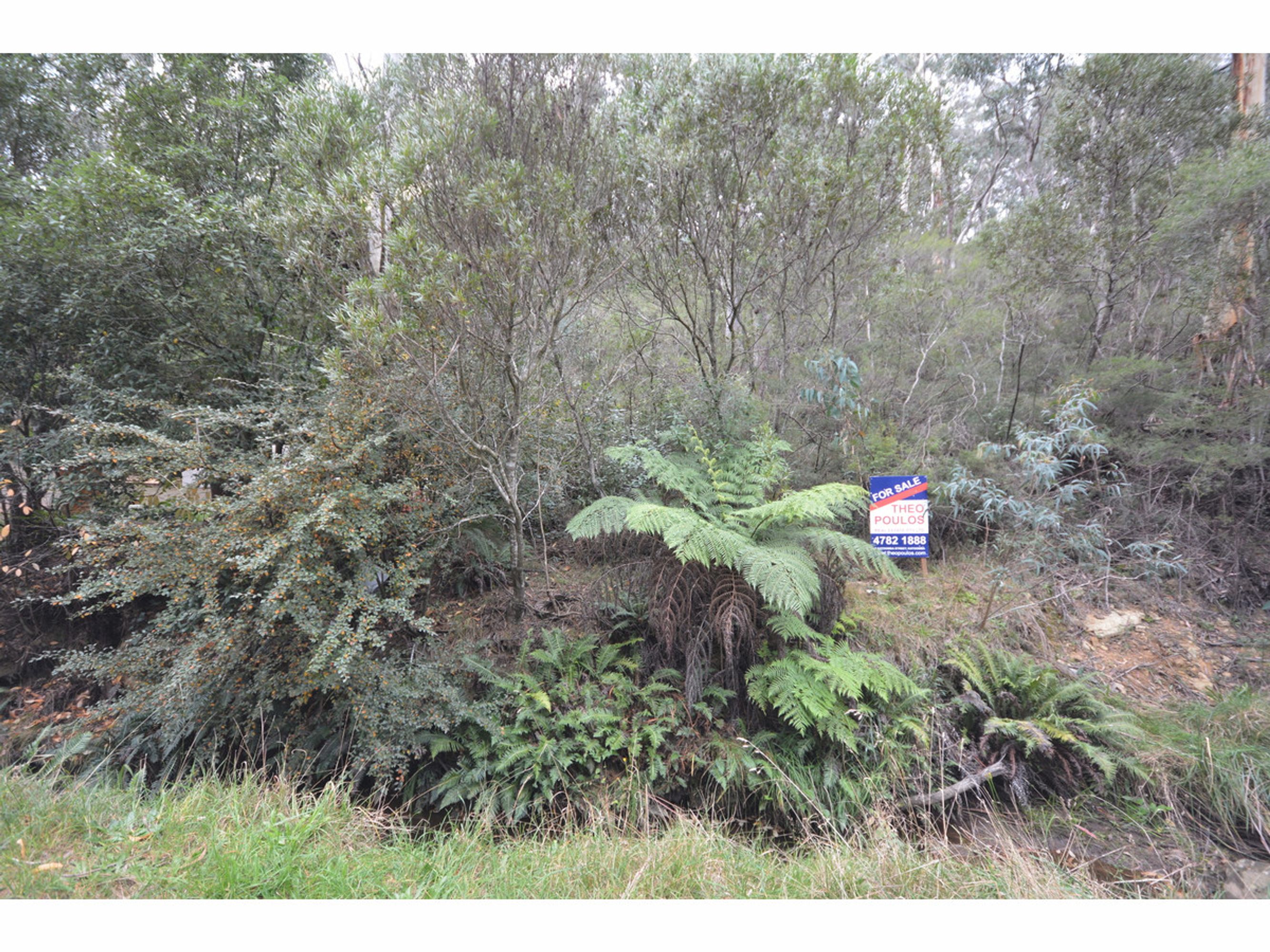 40 Neale Street, Katoomba - Thumbnail 3