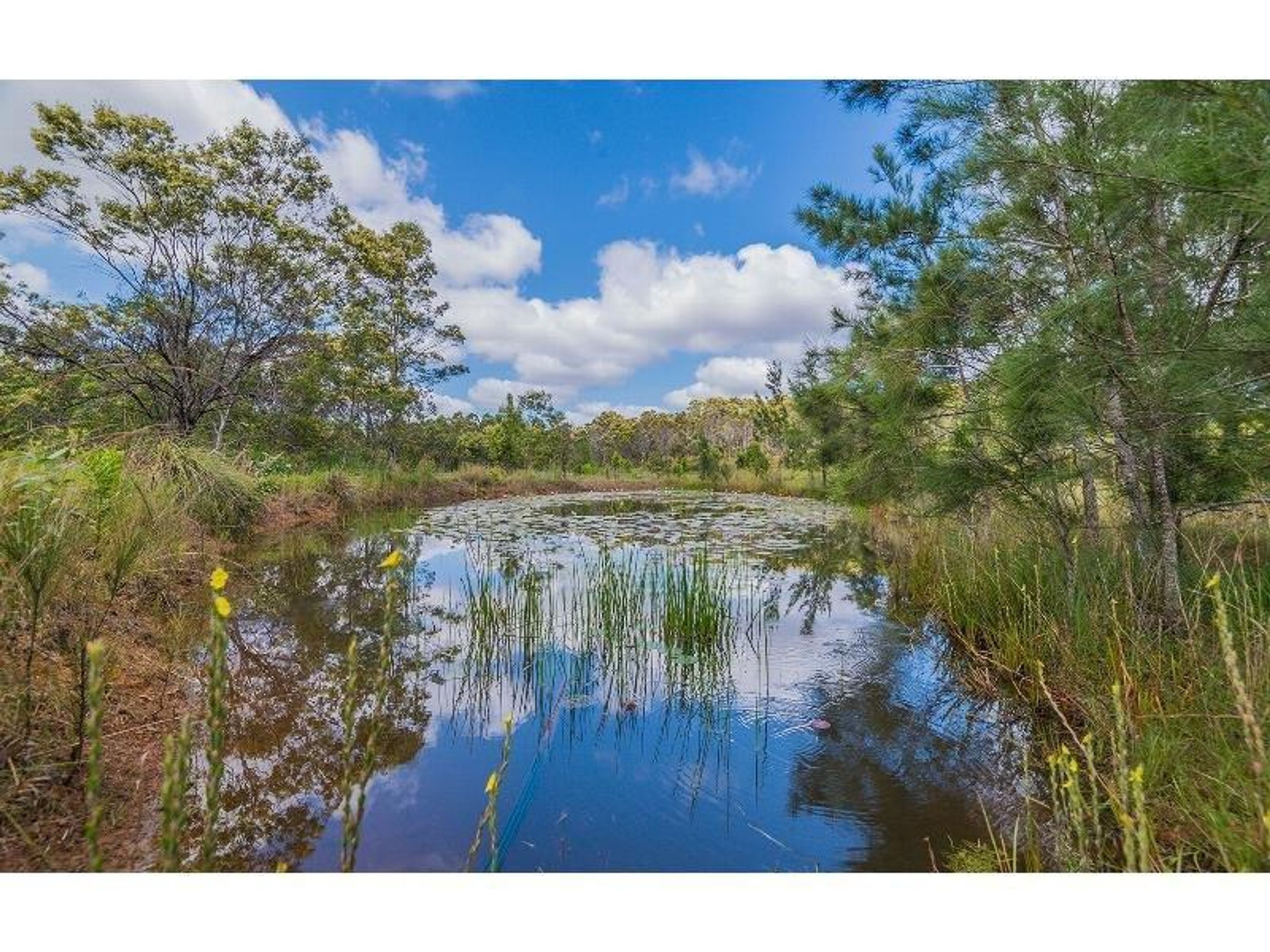 775 Parker Road, Lanitza - Thumbnail 3
