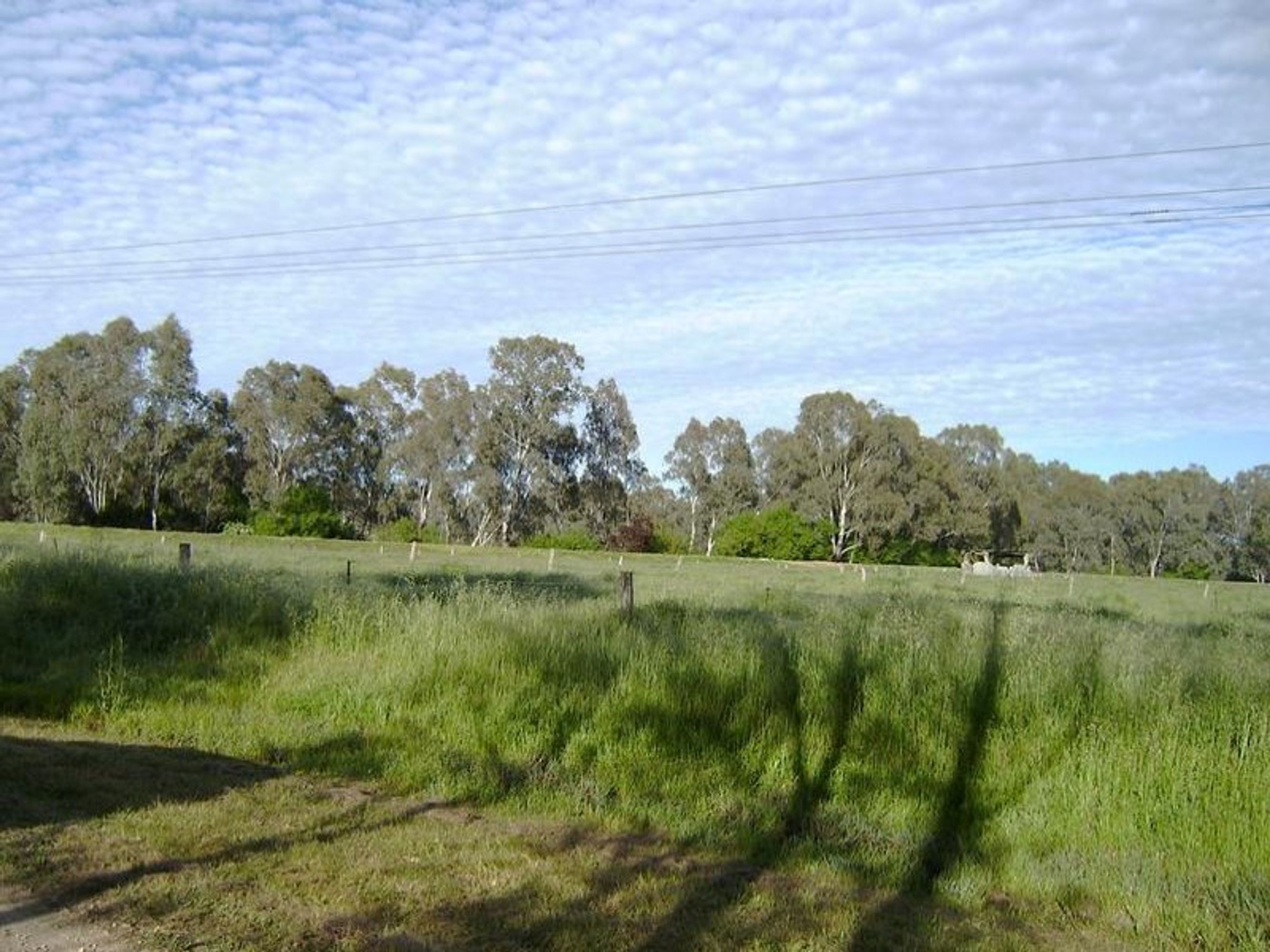 wangaratta, Wangaratta - Thumbnail 3