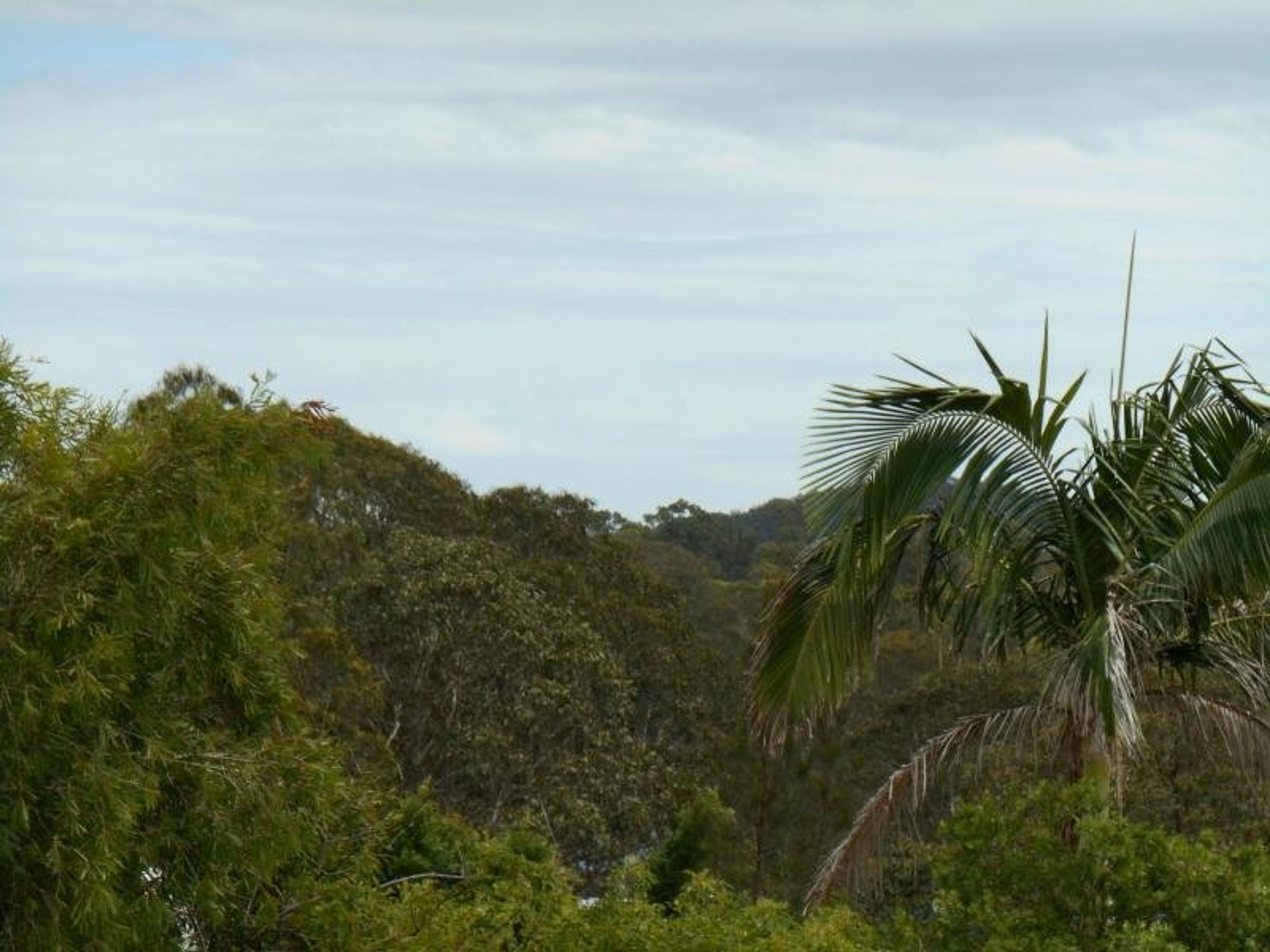 Tinonee, Tinonee - Thumbnail 7
