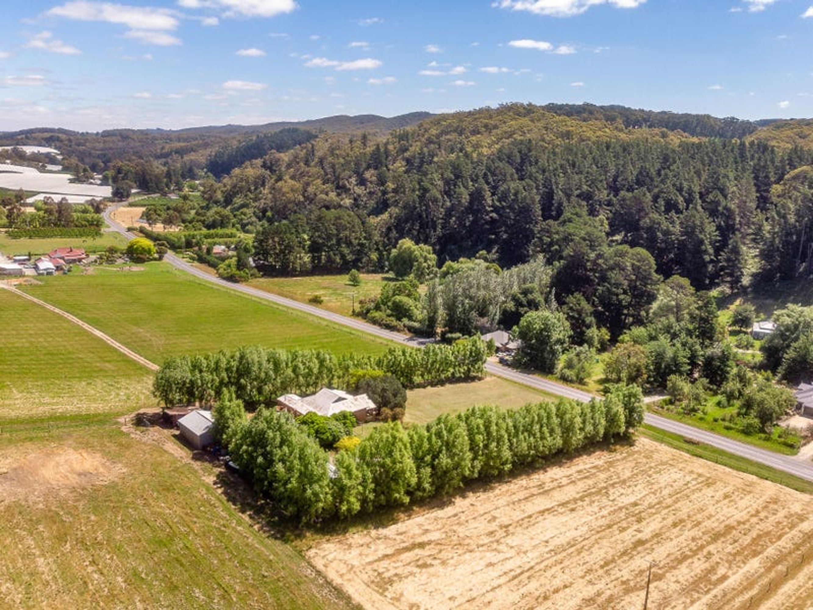 670 Swamp Rd, Lenswood, SA 5240, Lenswood - Thumbnail 6