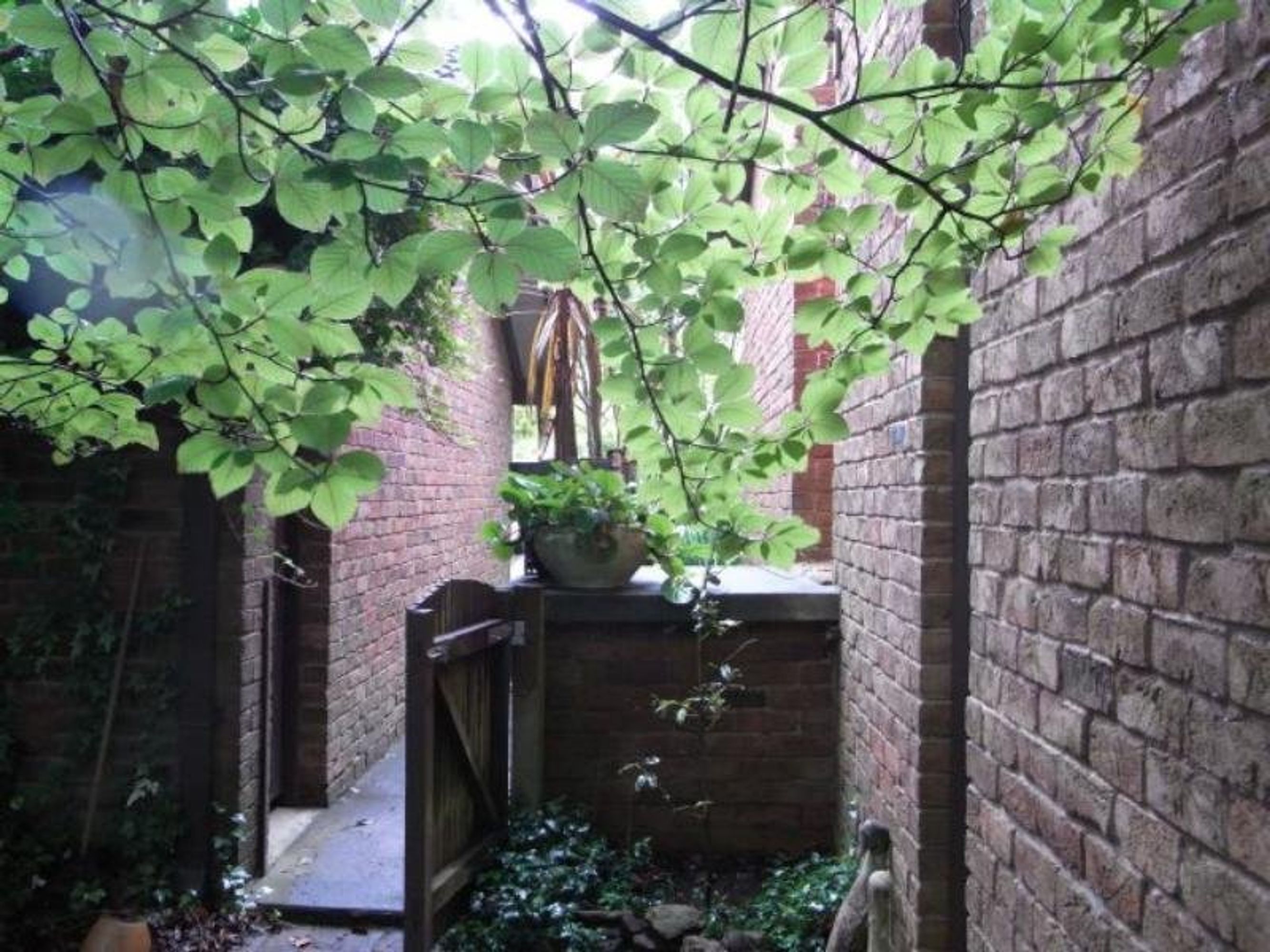 18 Grose St, Leura - Thumbnail 3