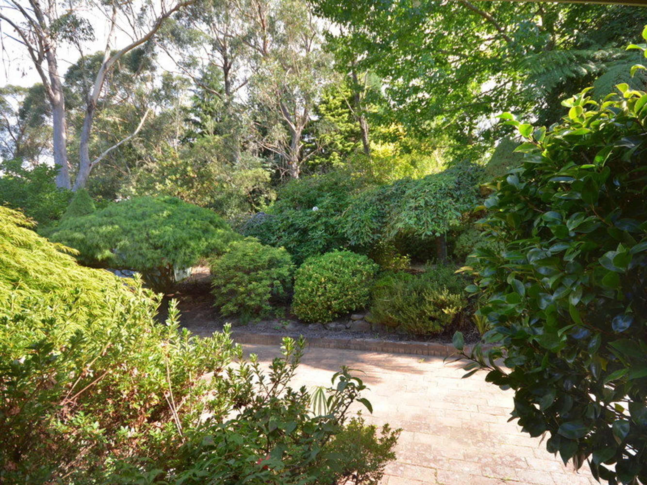 7 Vale Street, Leura - Thumbnail 7