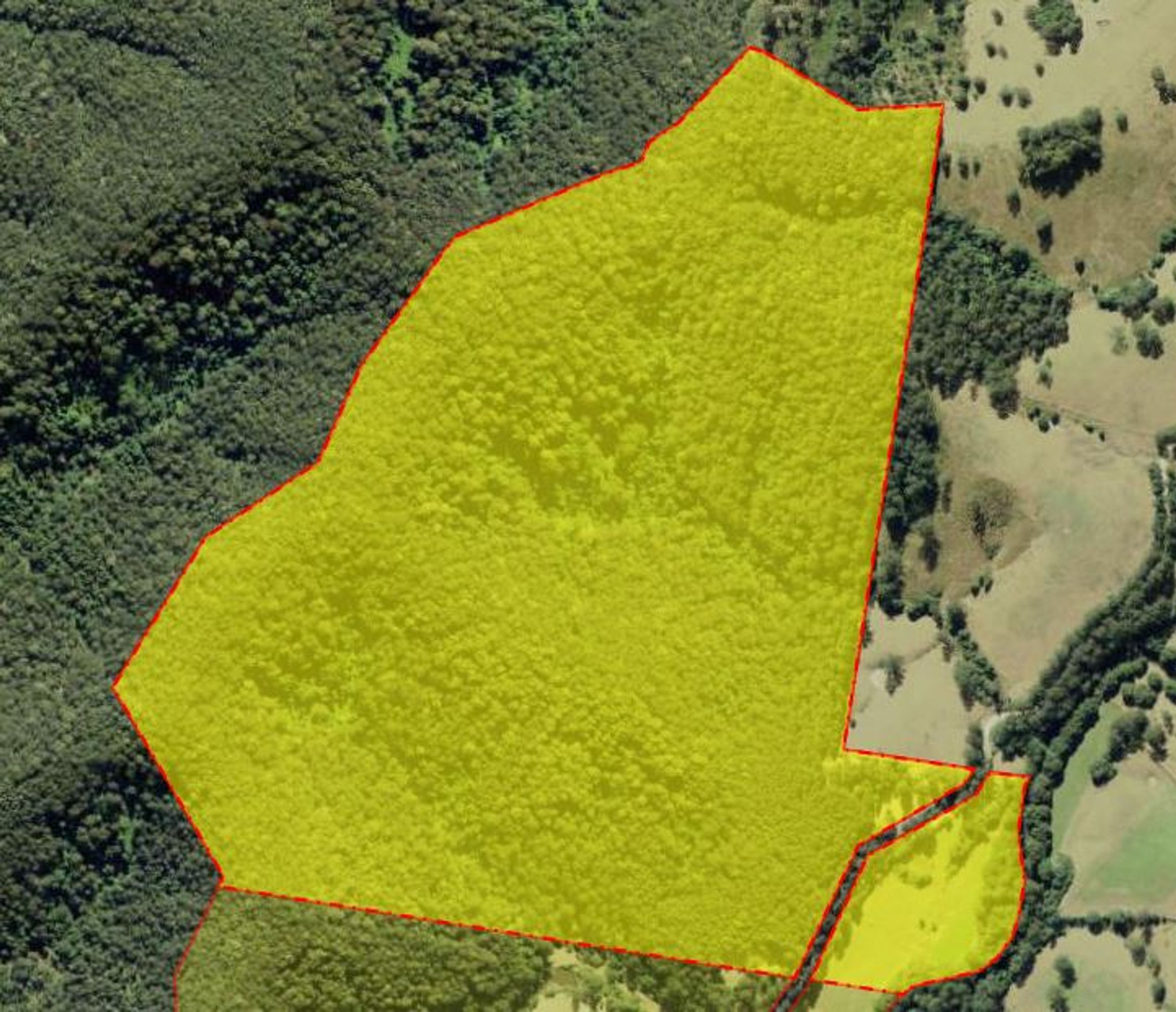 2829 Bulga Road, Bobin, Bobin - Thumbnail 6