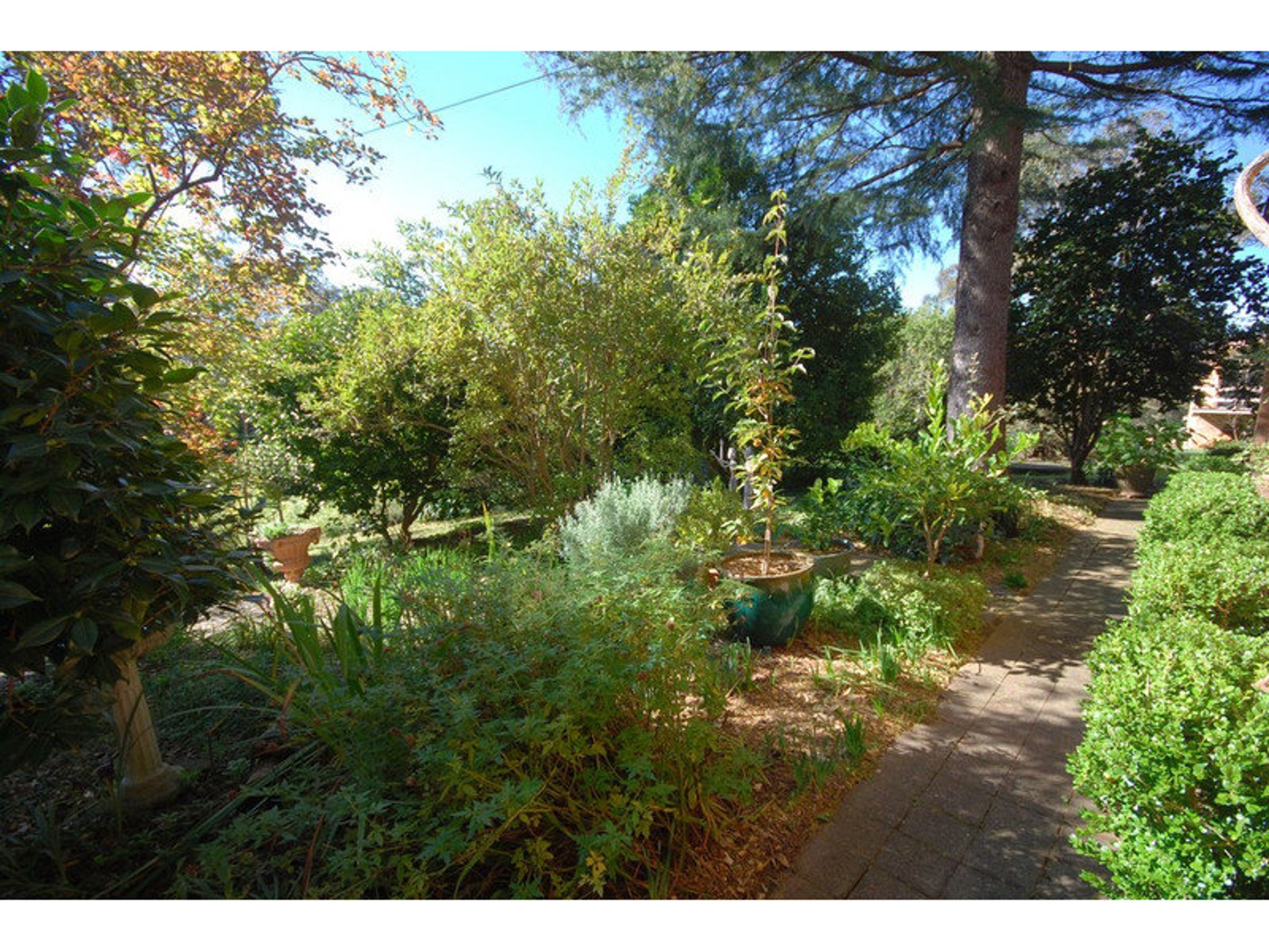 28 Third Avenue, Katoomba - Thumbnail 4