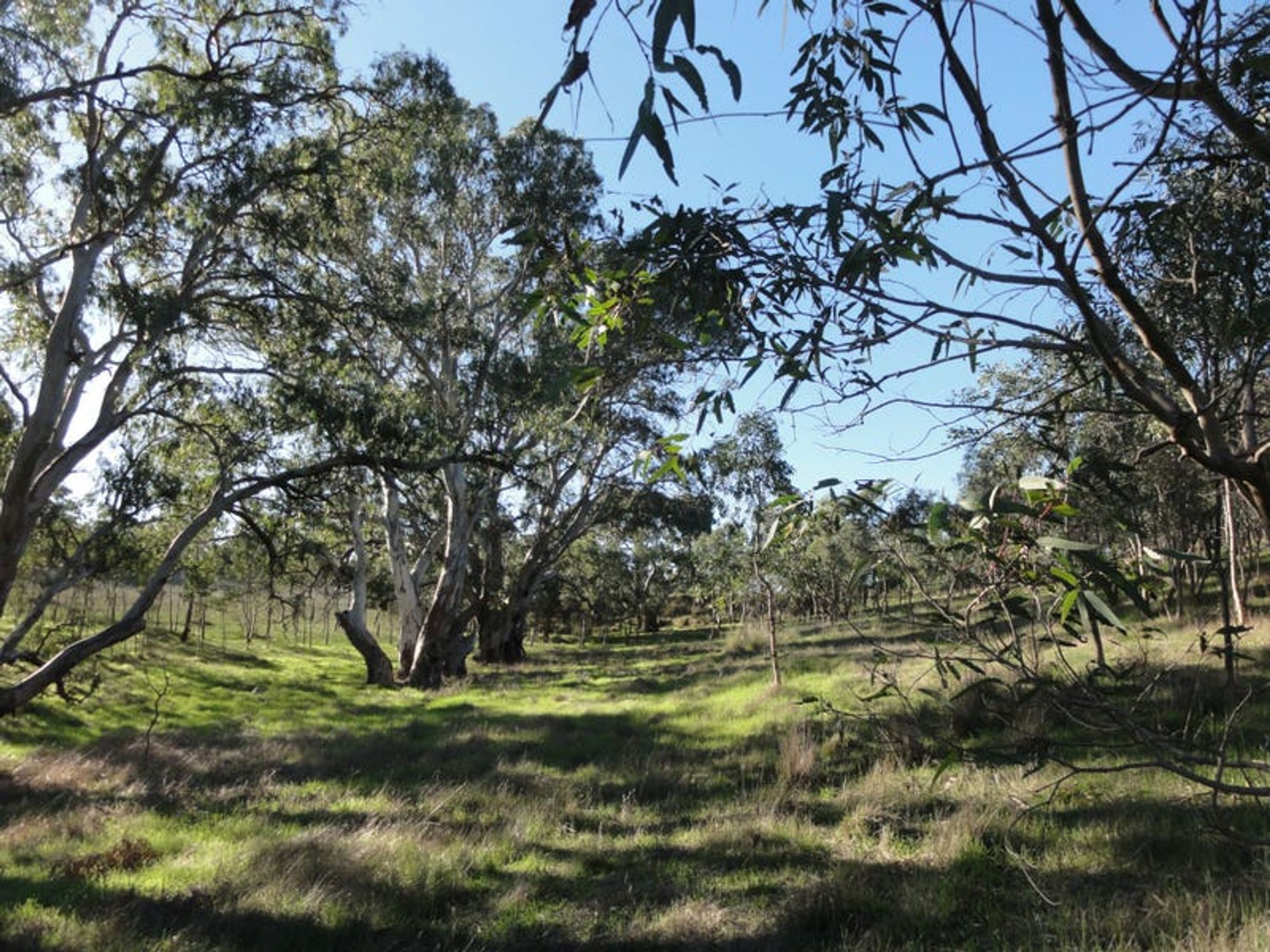 69 Vale Road ( Via Wistow), Highland Valley, SA 5255, Highland Valley - Thumbnail 2