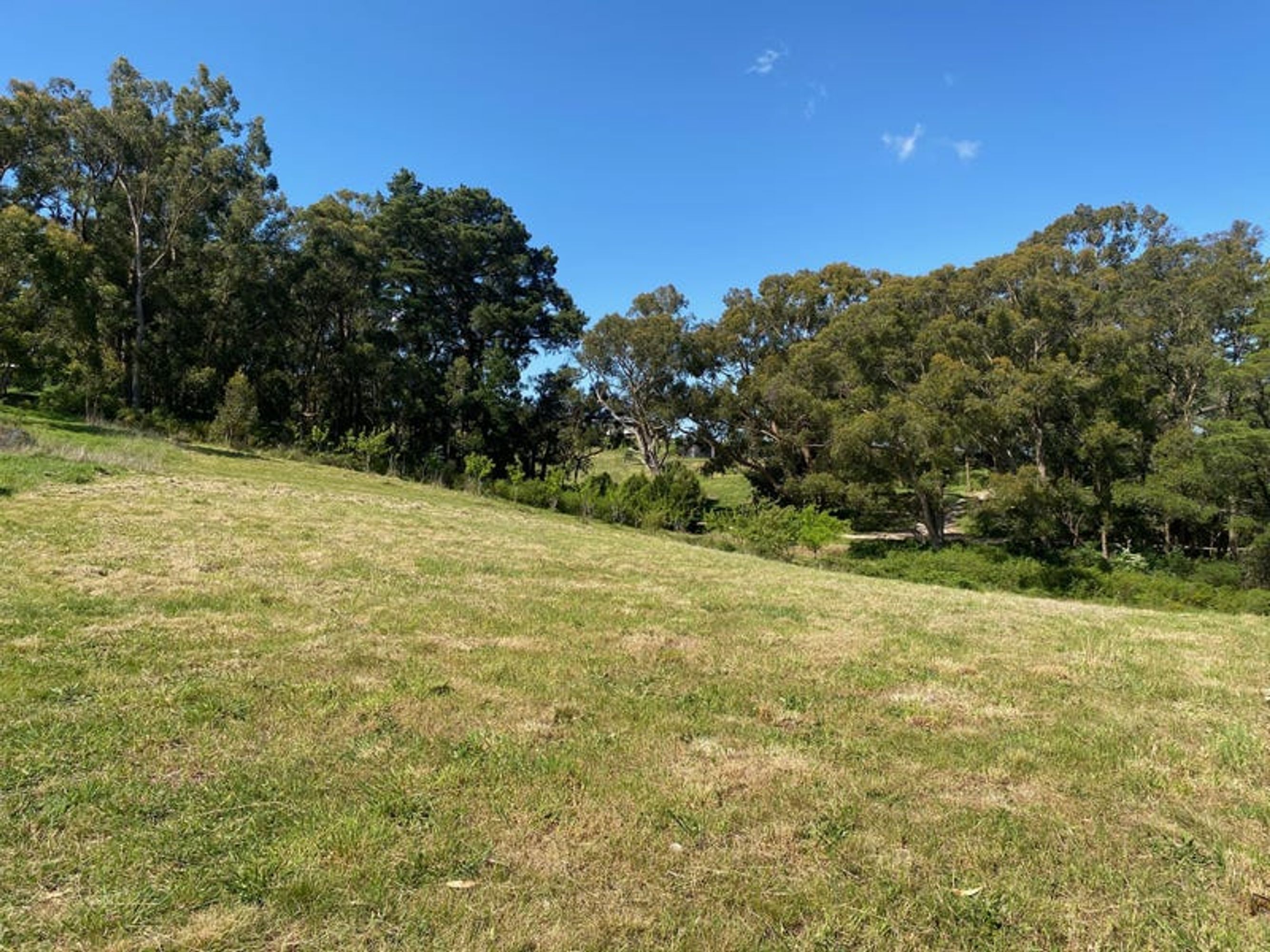 Lot 211 Sharps Road, Carey Gully, SA 5144, Carey Gully - Thumbnail 4
