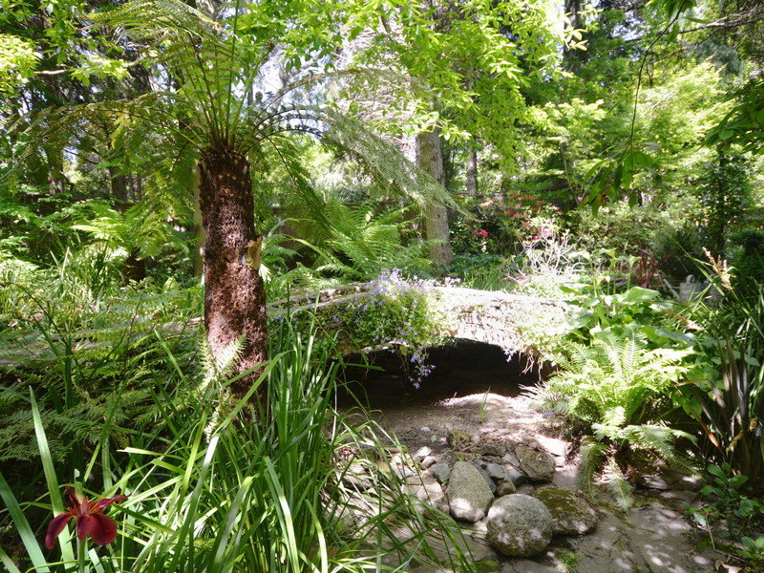 15 Blaxland Avenue, Leura - Thumbnail 8