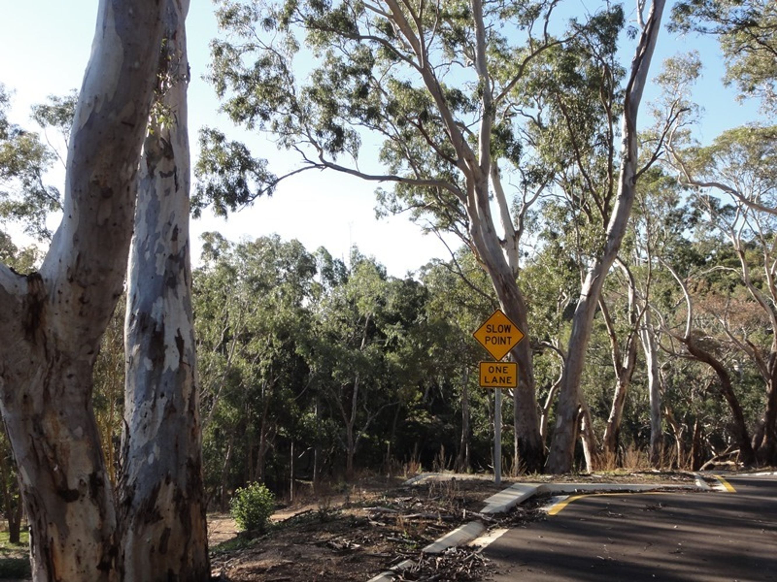 5 Gratwick Street, Echunga, SA 5153, Echunga - Thumbnail 3