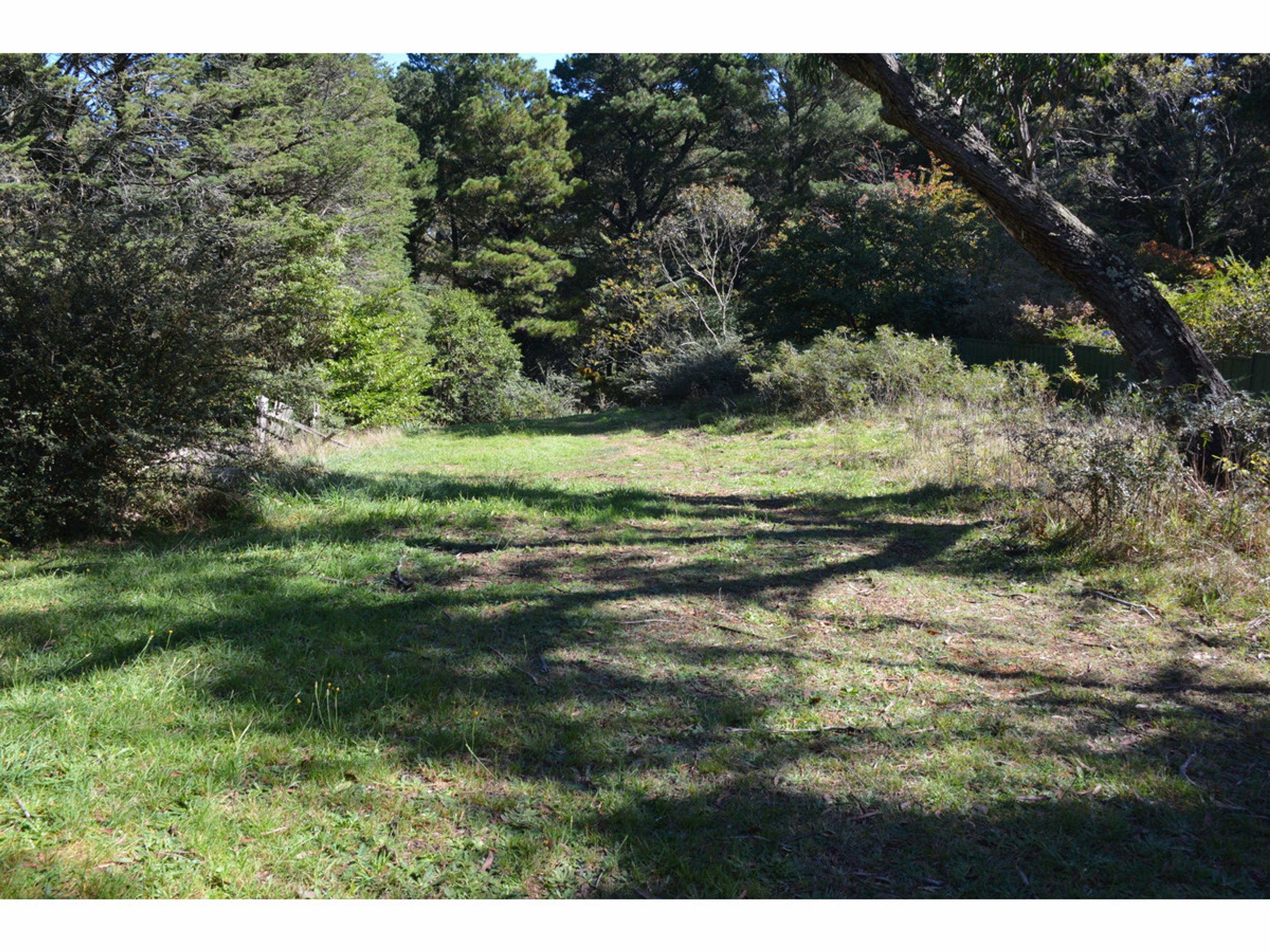 29 Selby Street, Katoomba - Thumbnail 3