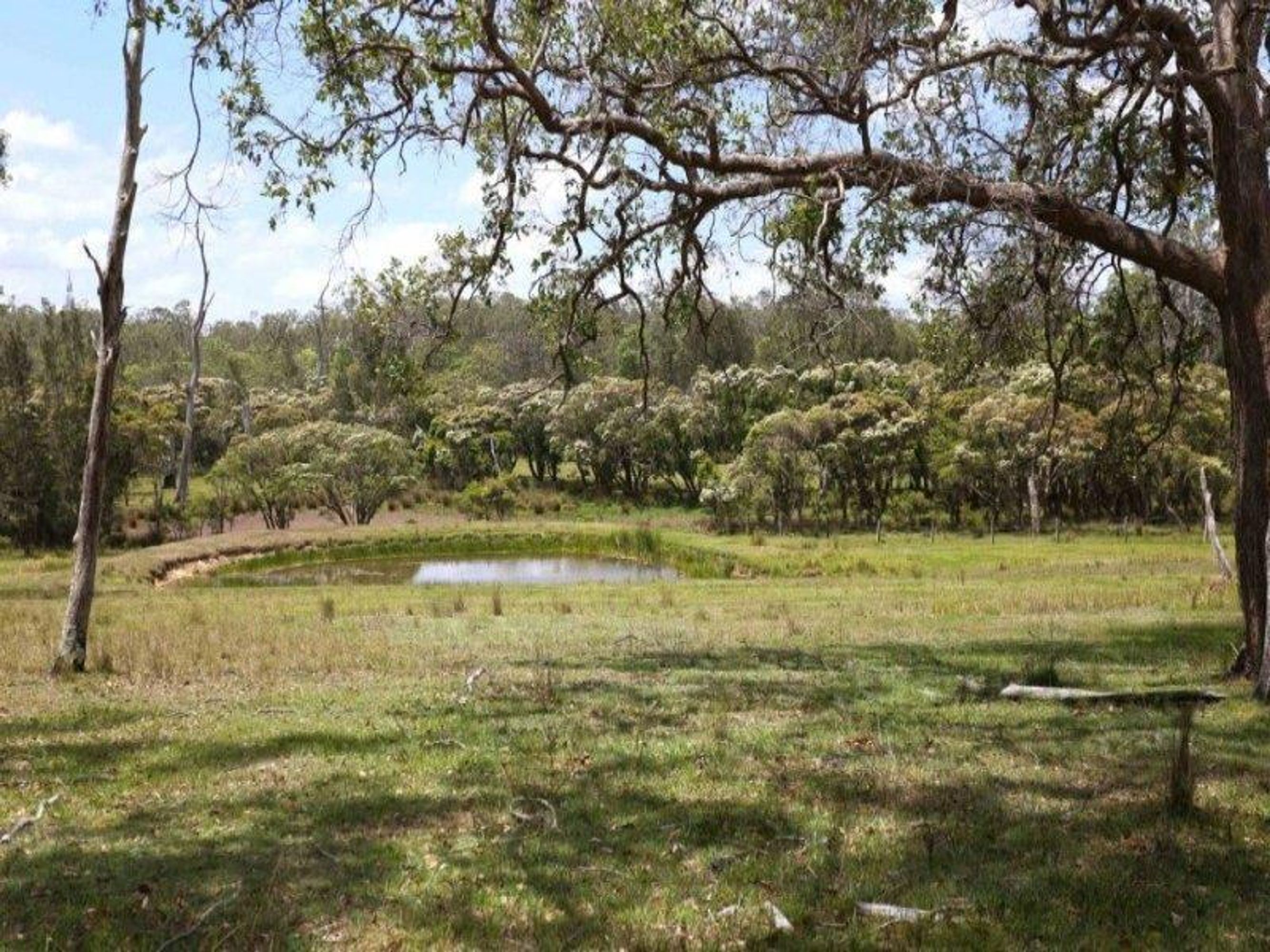 131/131/2750 Summerland Way, Dilkoon - Thumbnail 3