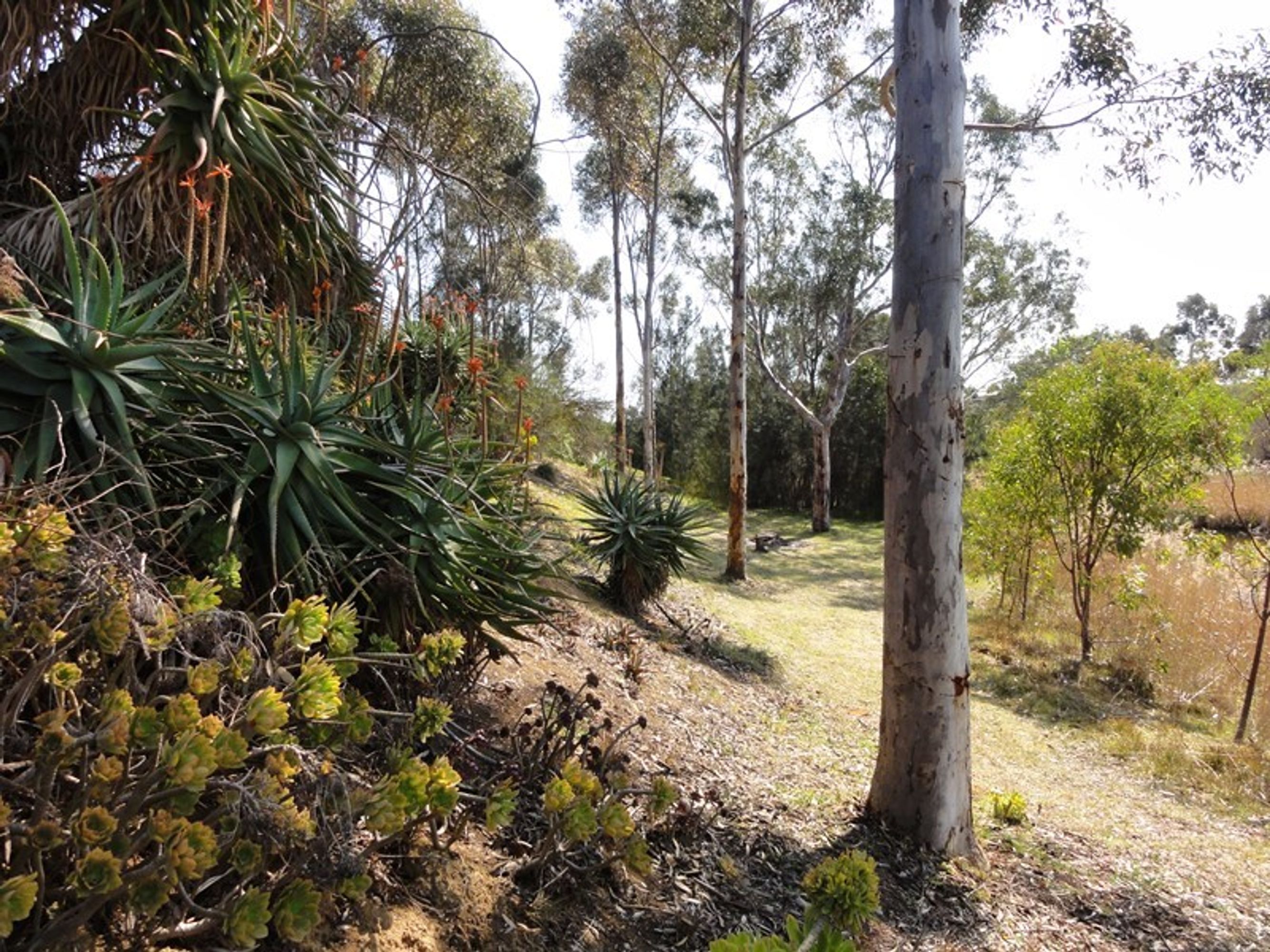 47 Roper Rd, Strathalbyn, SA 5255, Strathalbyn - Thumbnail 3