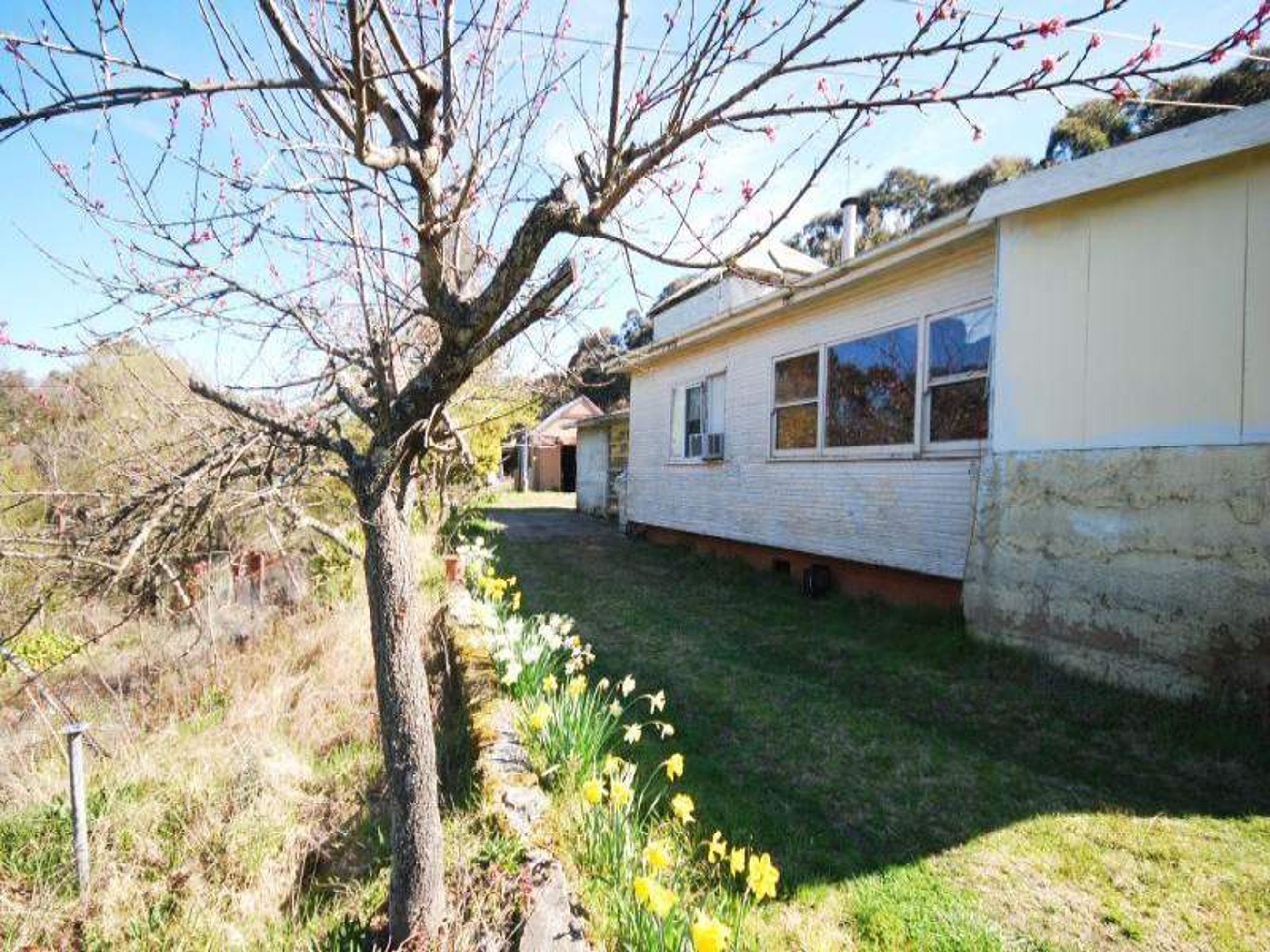 49 Queens Rd, Leura - Thumbnail 7