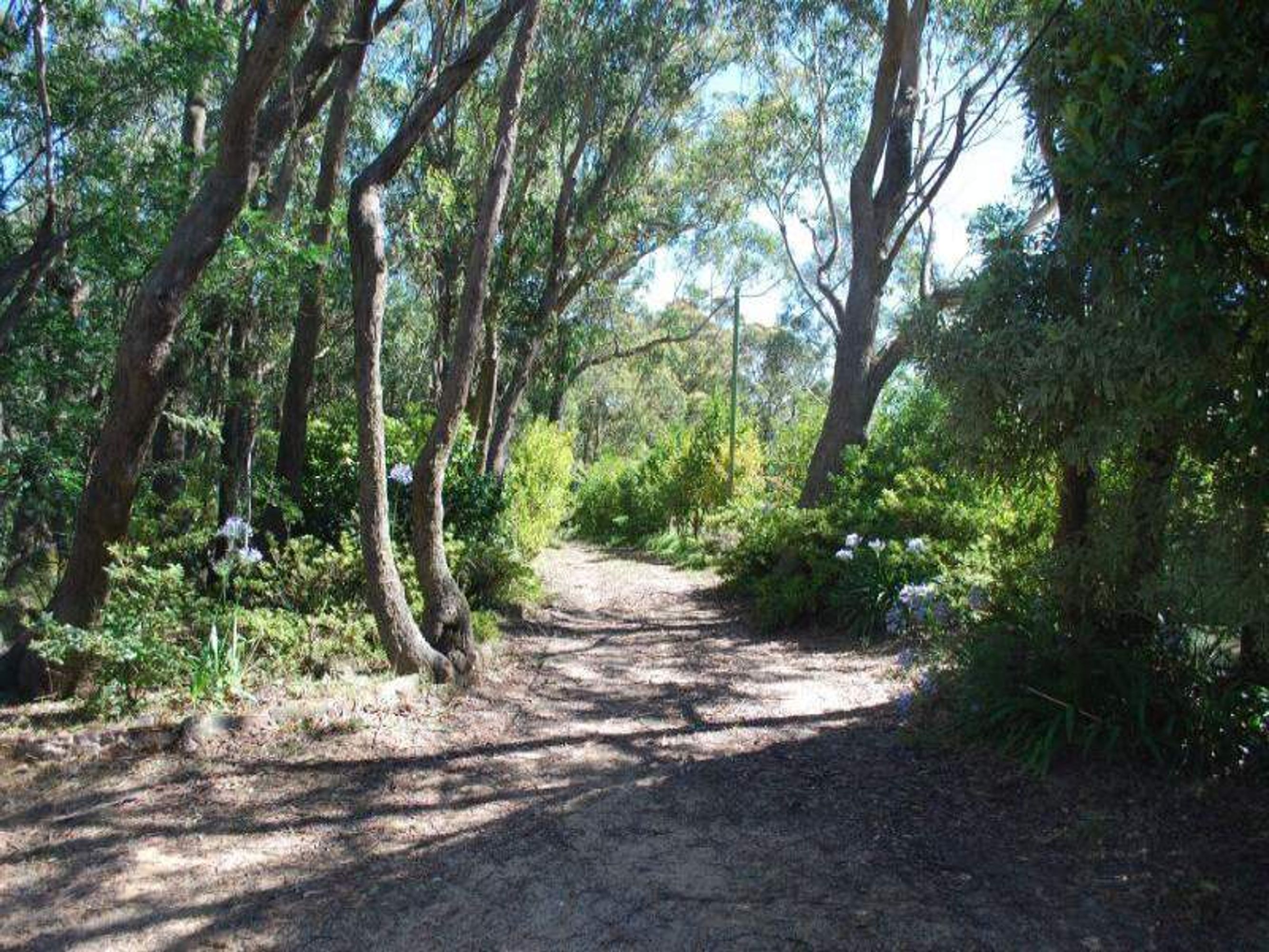 48 Farnells Rd, Katoomba - Thumbnail 7