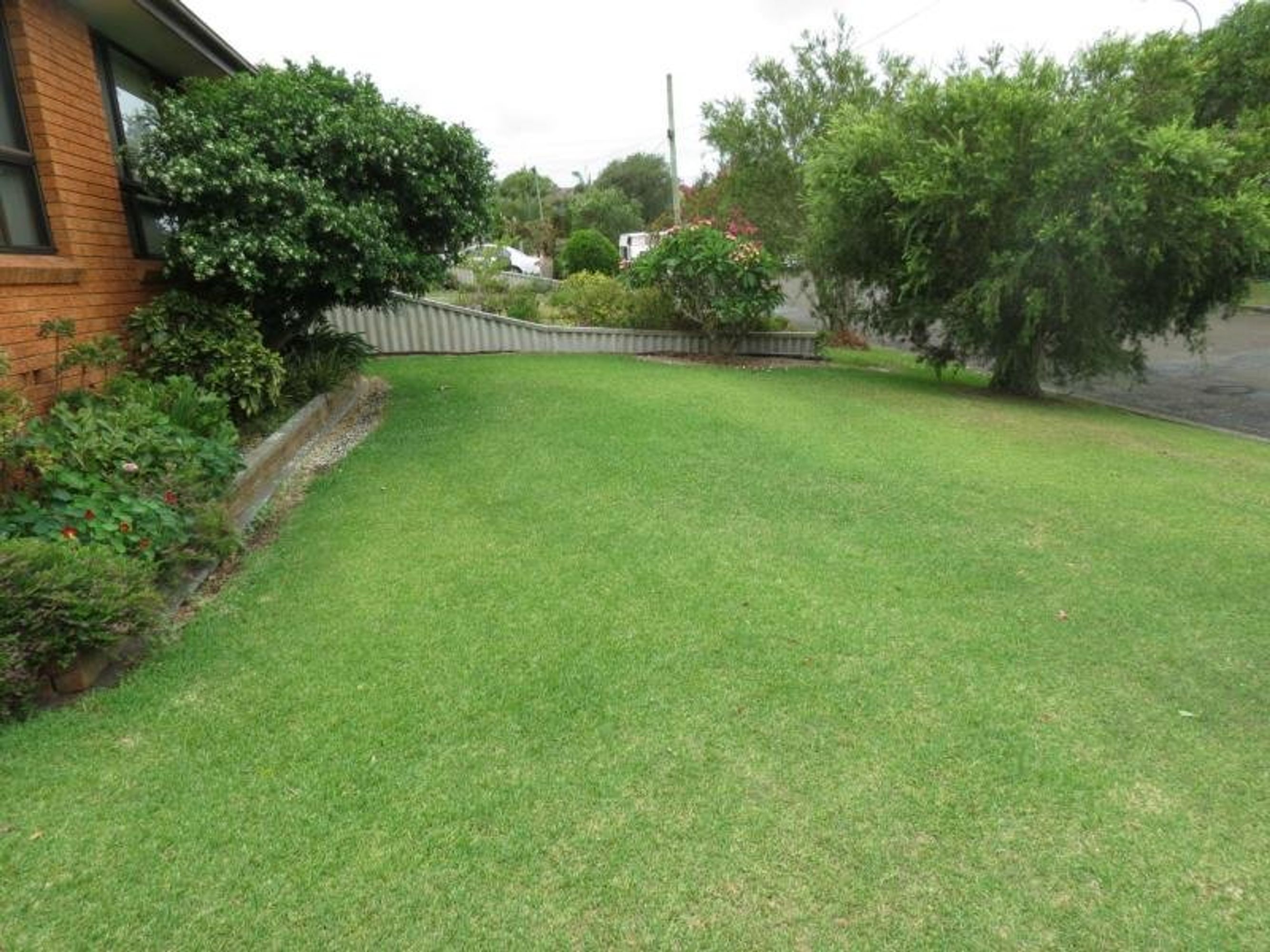 Taree, Taree - Thumbnail 8