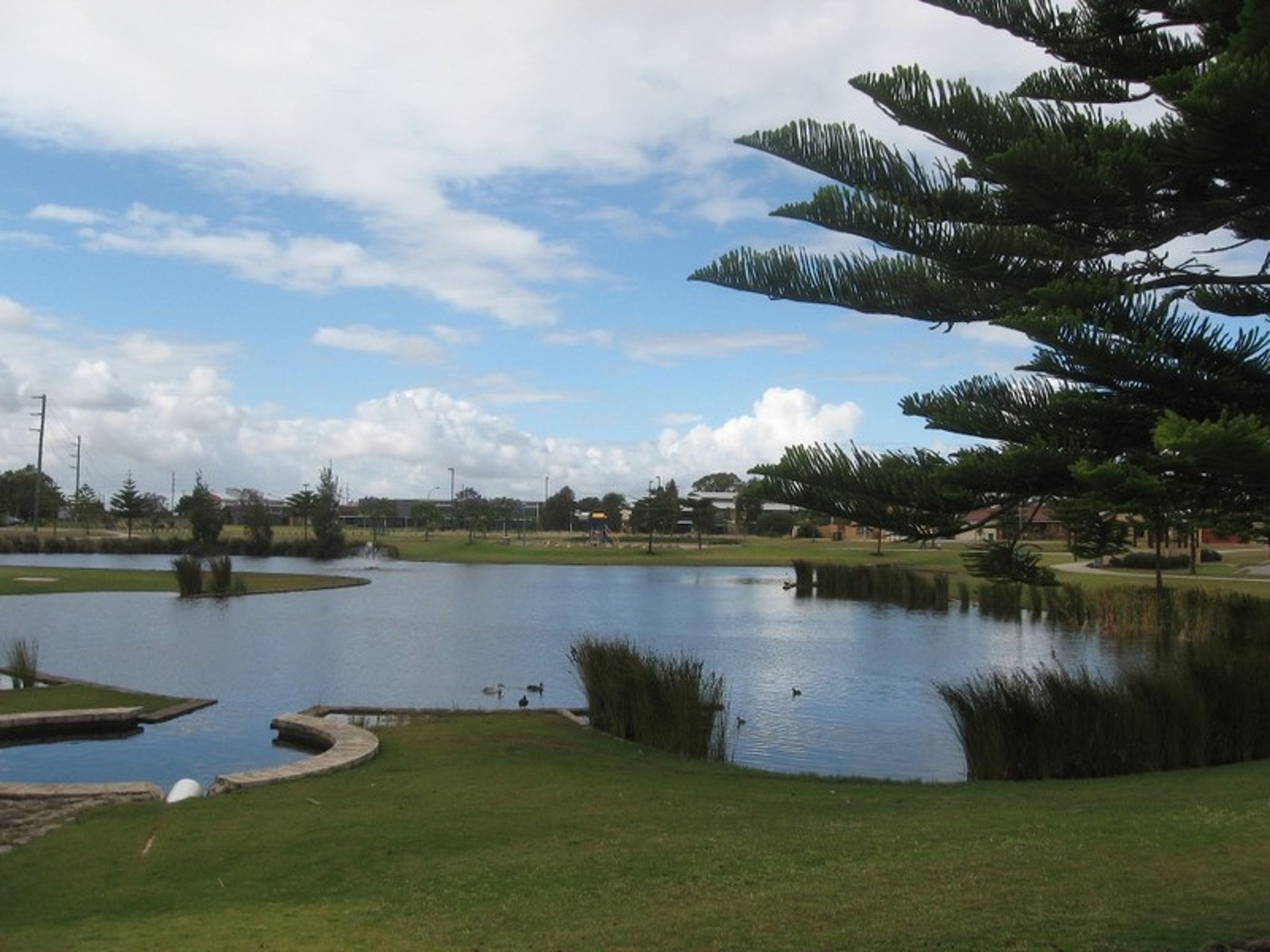 22 Flynn Street, Canning Vale, WA 6155, Canning Vale - Thumbnail 2