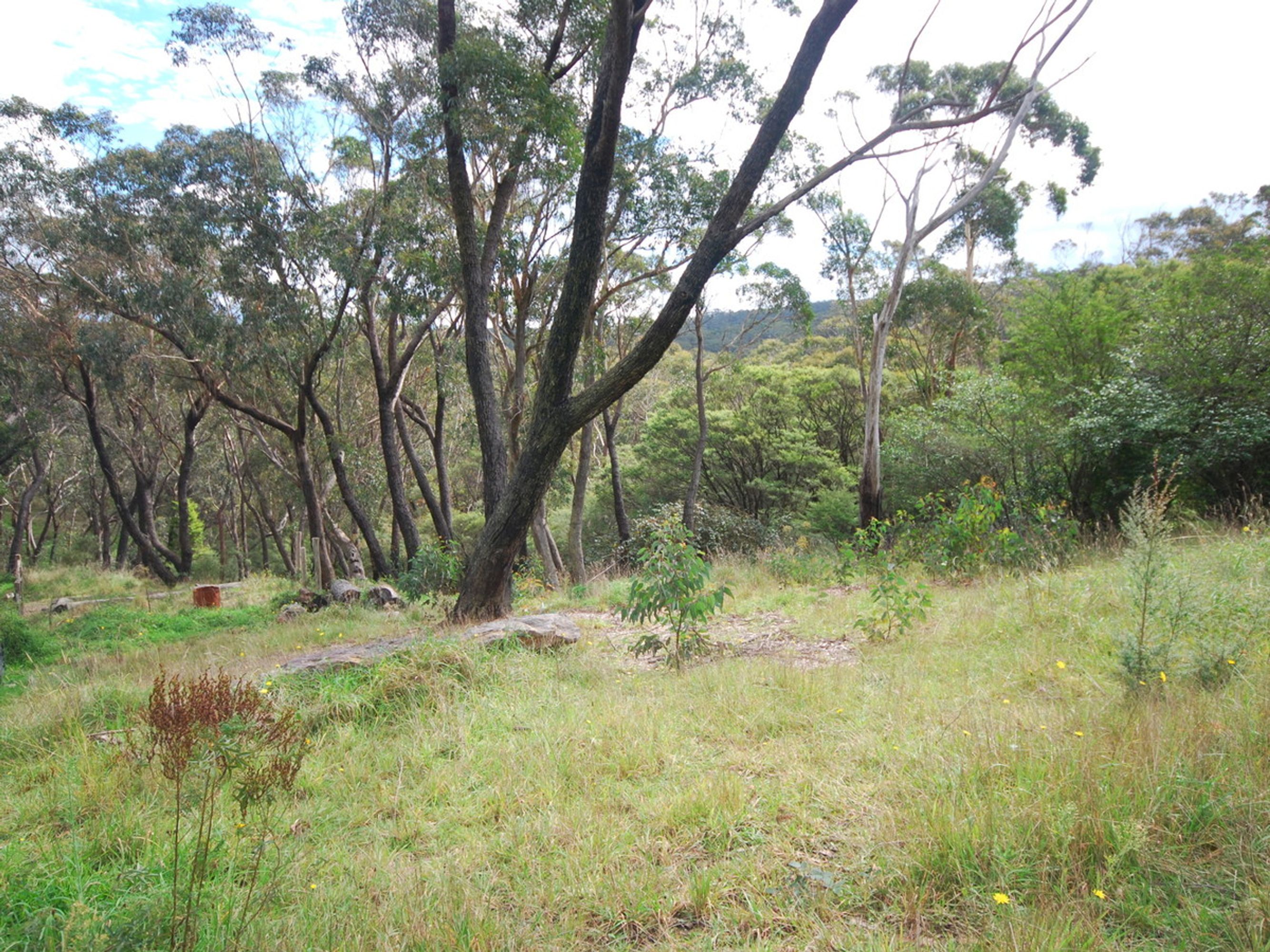 73a/73a Narrow Neck Road, Katoomba - Thumbnail 2