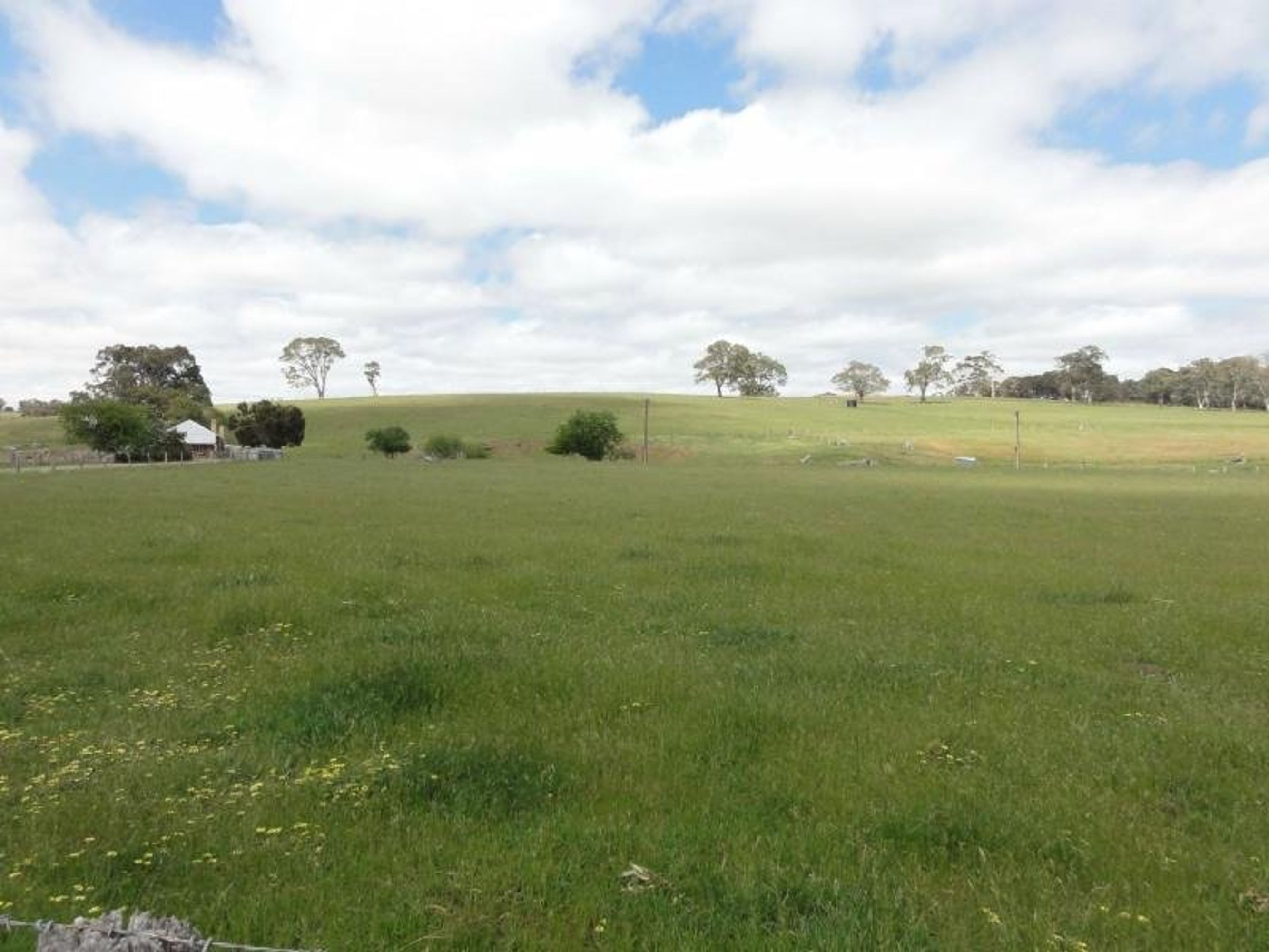 644 Macclesfield Road, Macclesfield, SA 5153, Macclesfield - Thumbnail 3