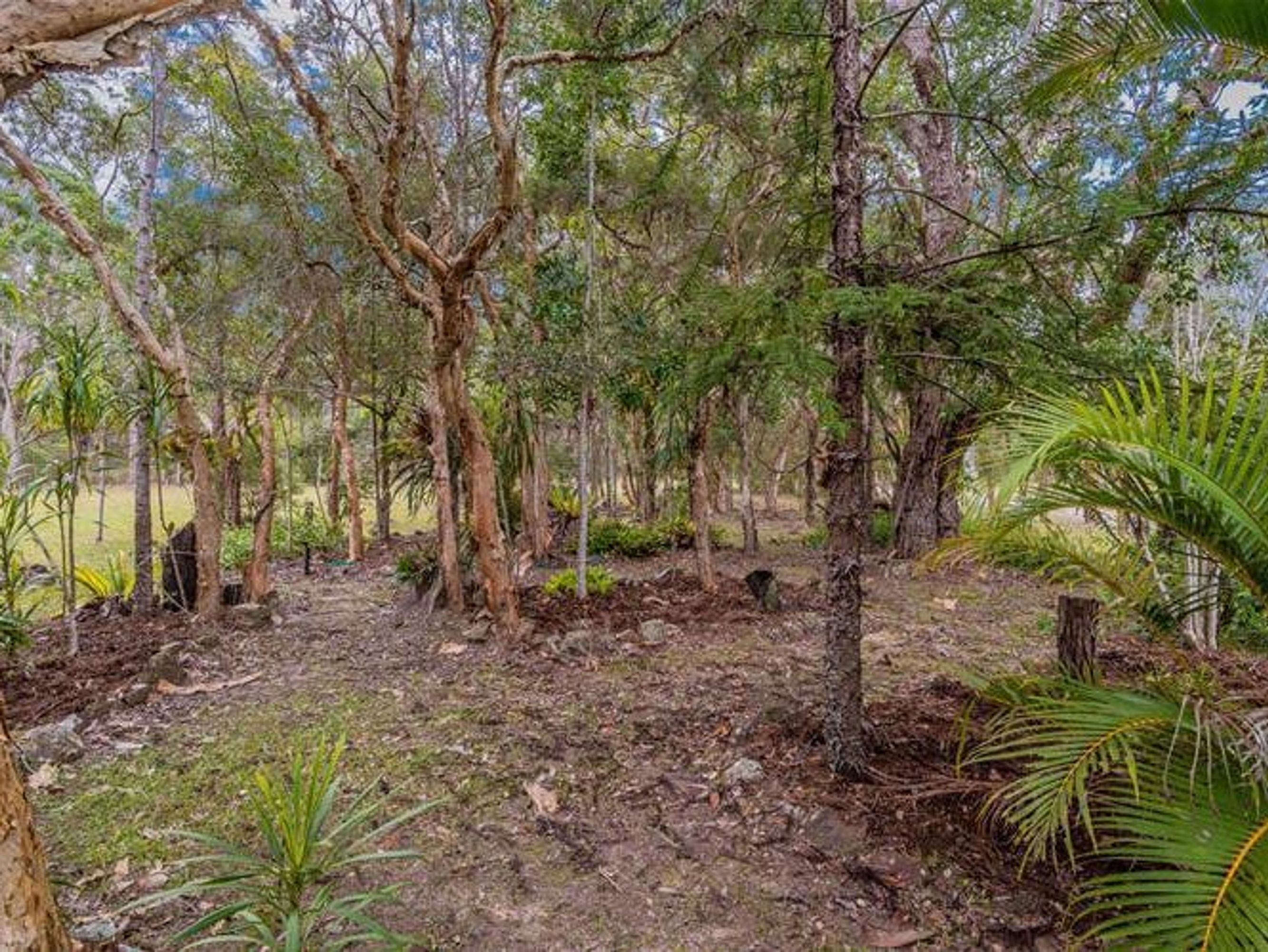 281 Red Root Road, Pillar Valley - Thumbnail 8