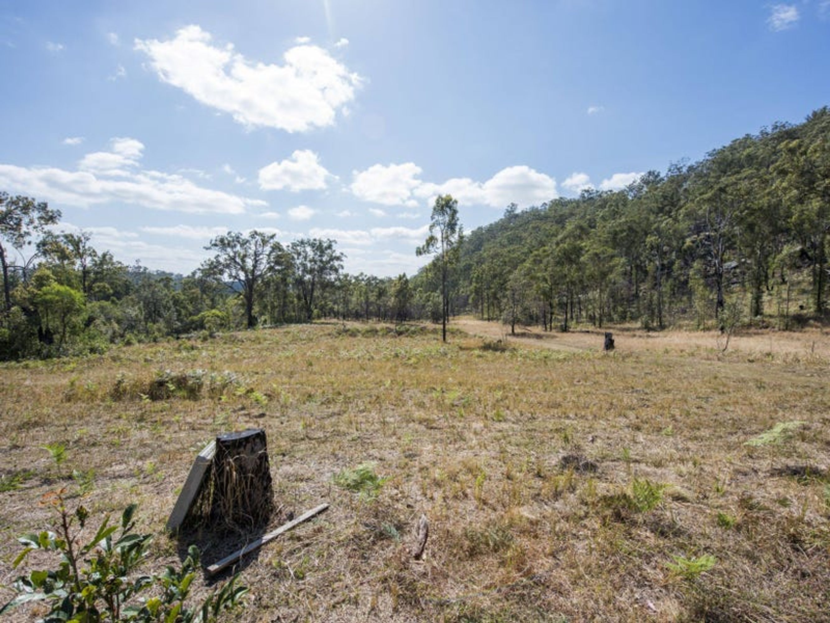 243 Armidale Road, Blaxlands Creek - Thumbnail 8