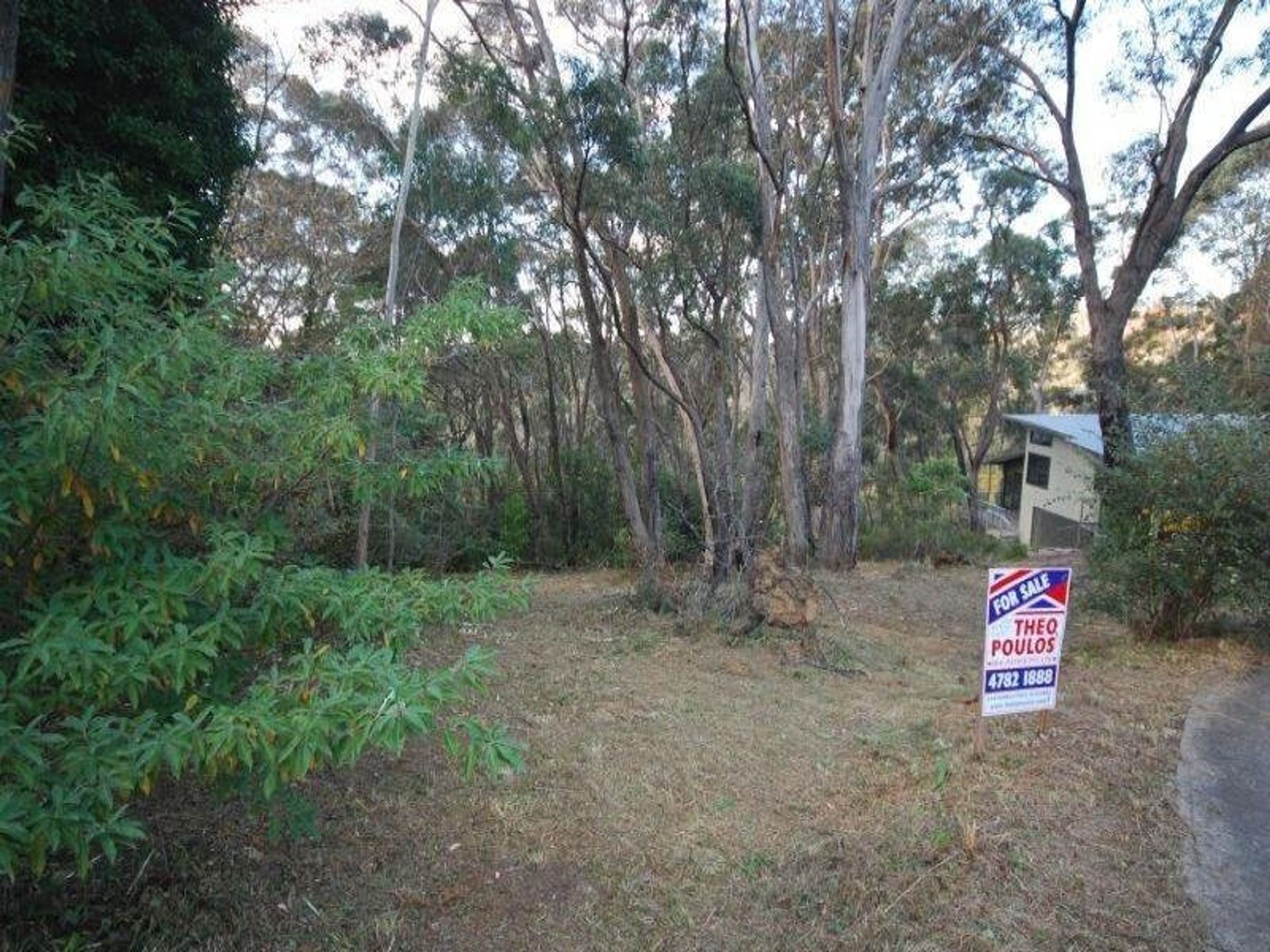 33 Rozelle Street, Wentworth Falls - Thumbnail 3