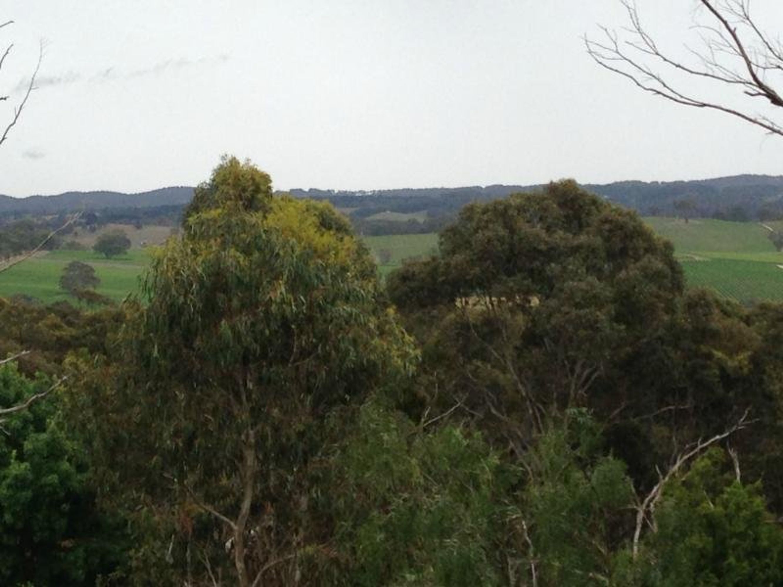 103 Naughton Rd, Woodside, SA 5244, Woodside - Thumbnail 8