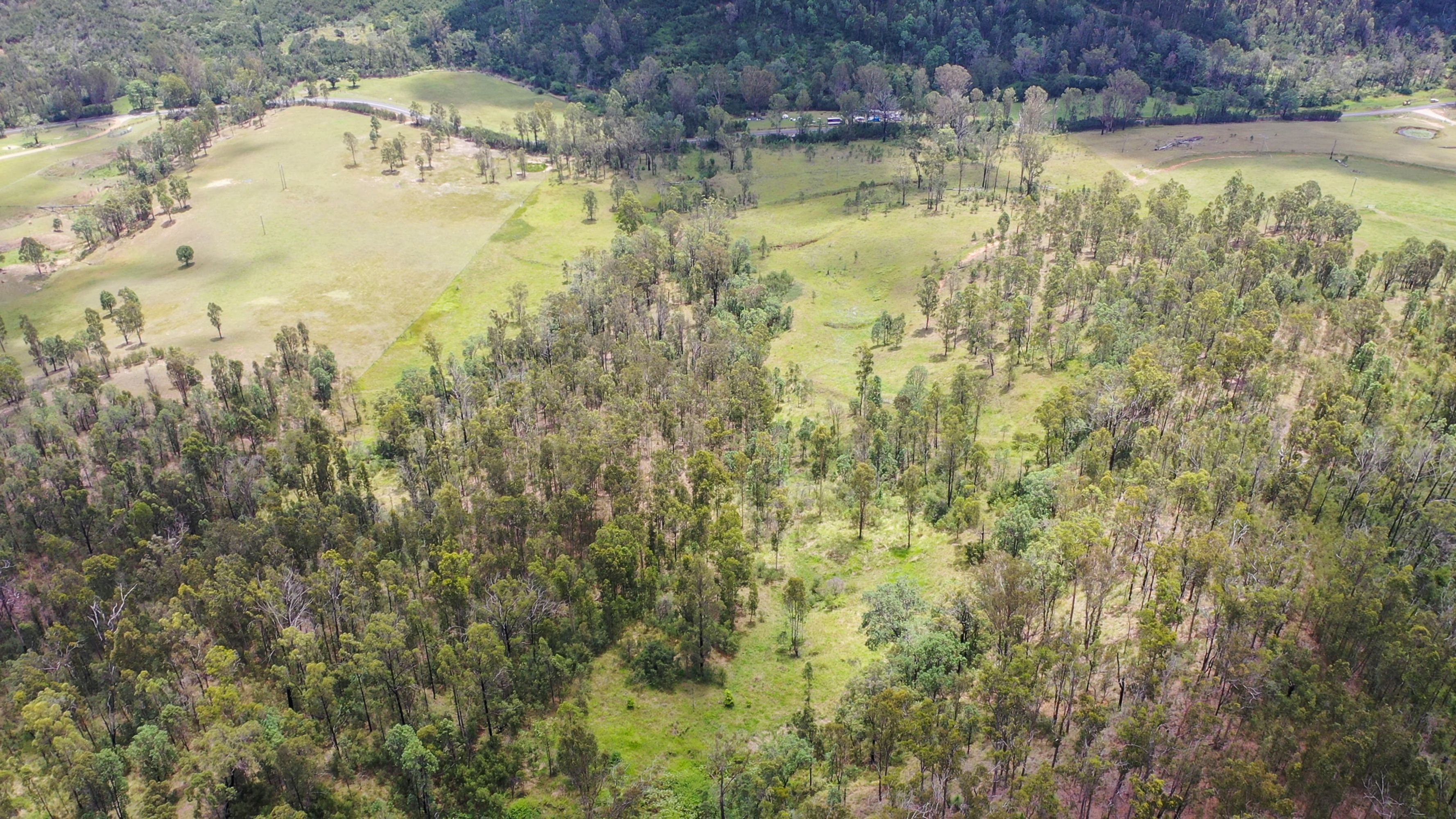 3293 Armidale Road, Blaxlands Creek - Thumbnail 7