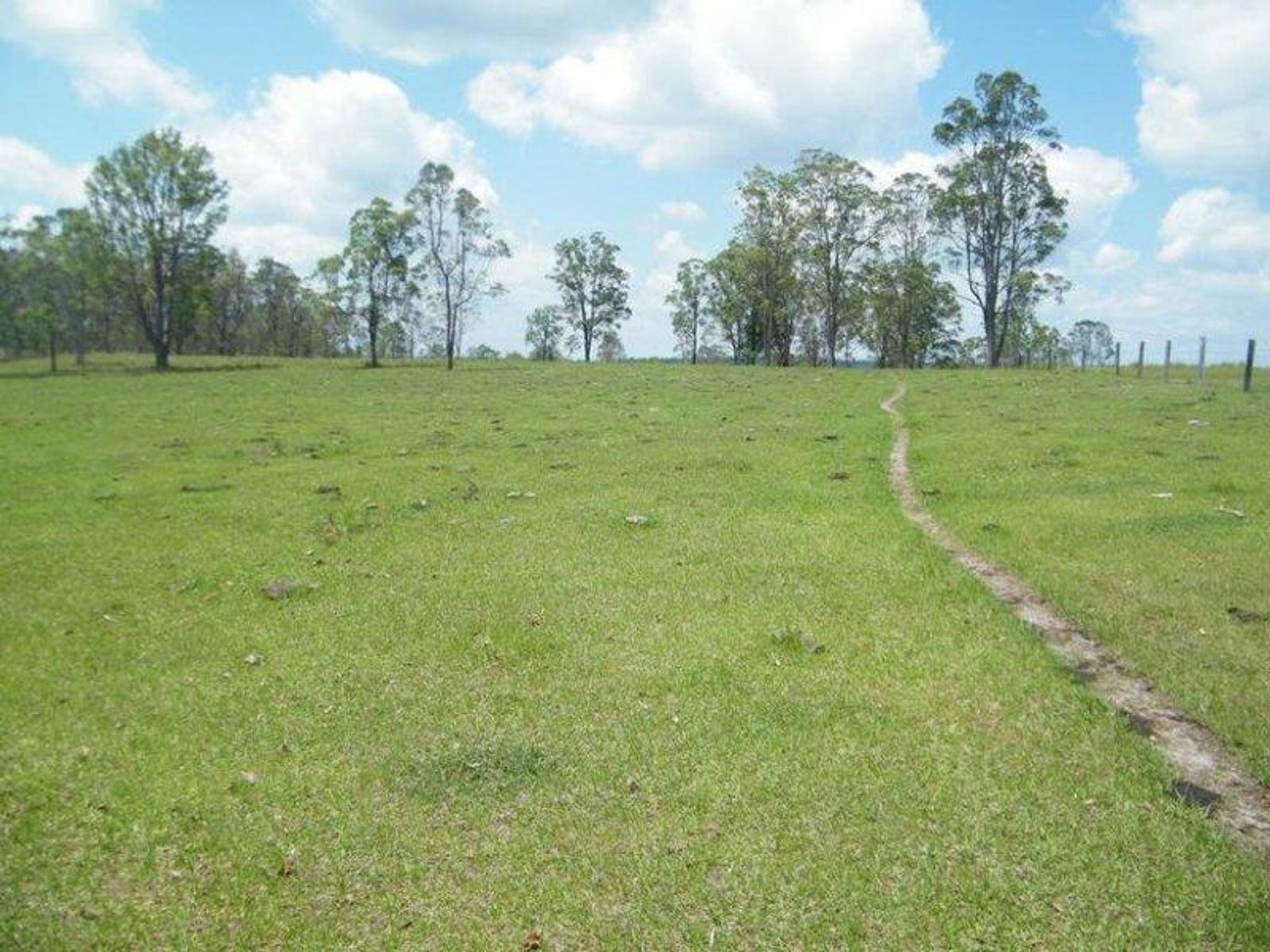 335/335/Lot 335, 450 Greberts Road, Whiteman Creek - Thumbnail 8