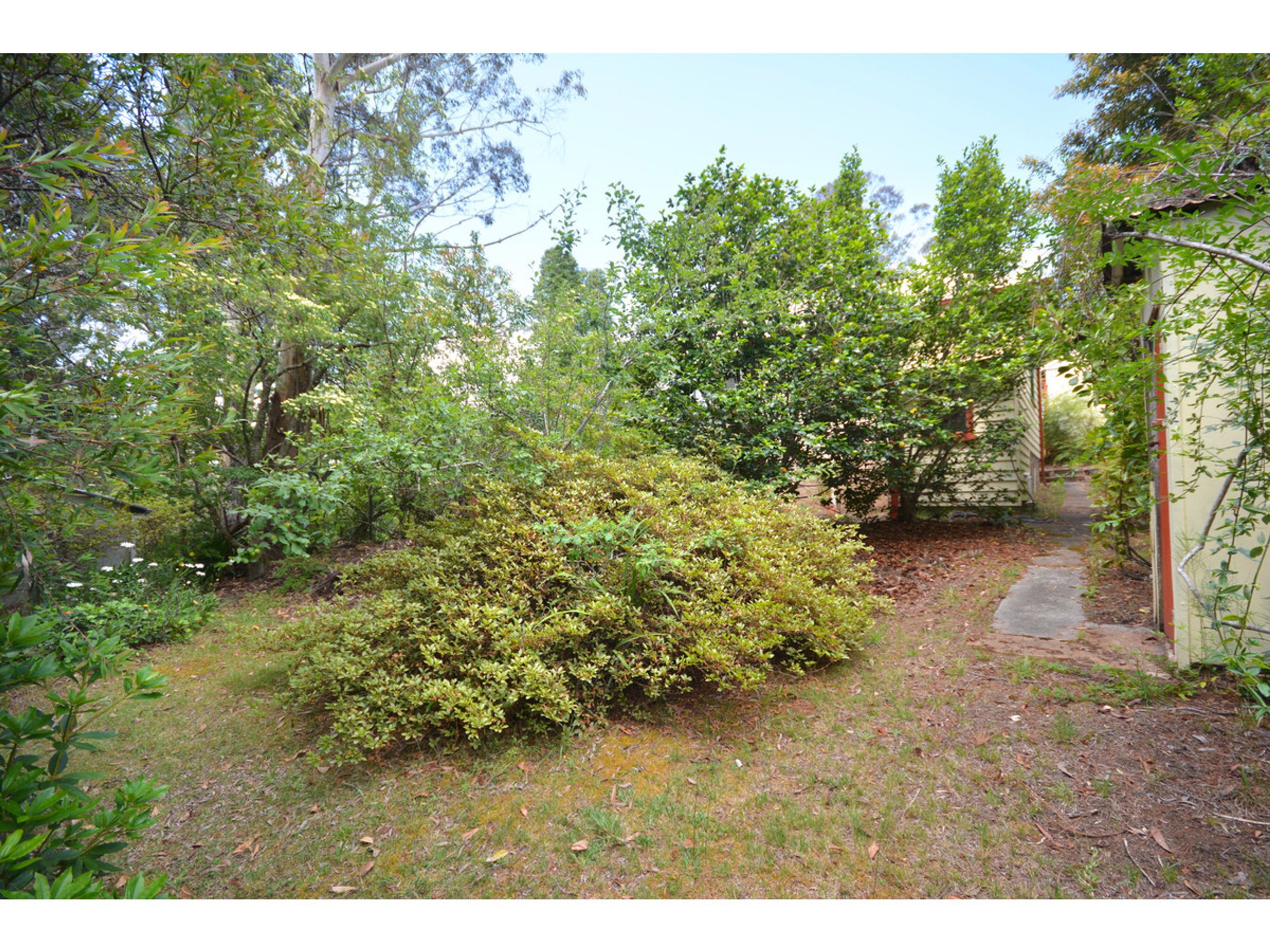 55 Loftus Street, Katoomba - Thumbnail 7