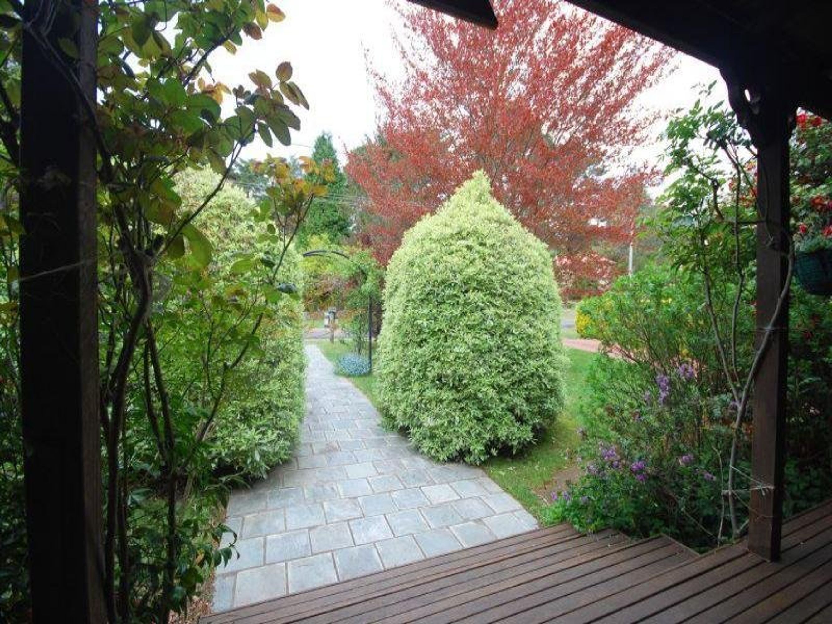 7 Spencer Street, Leura - Thumbnail 8