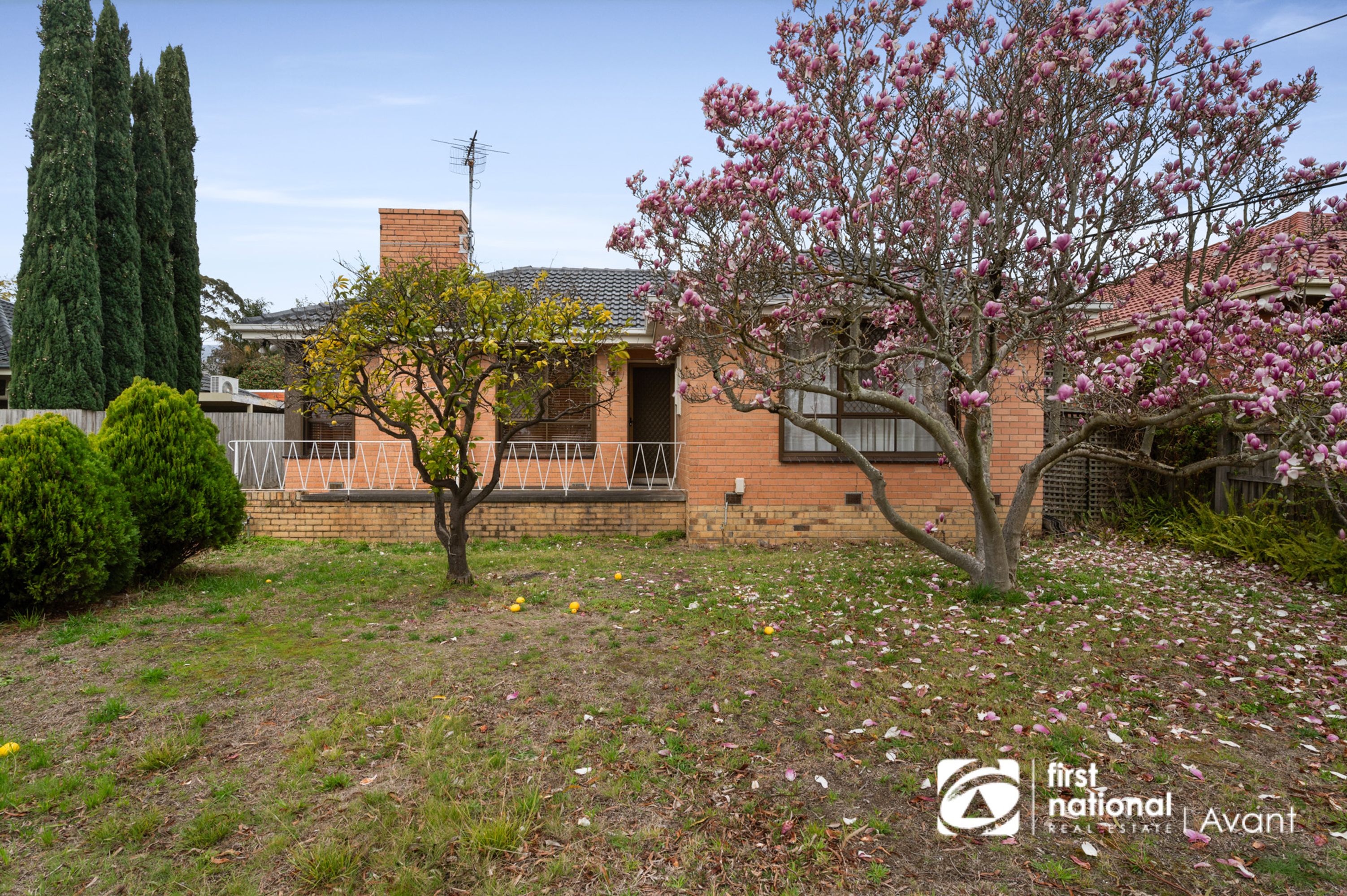 26 Milloo Crescent, Mount Waverley - Thumbnail 8