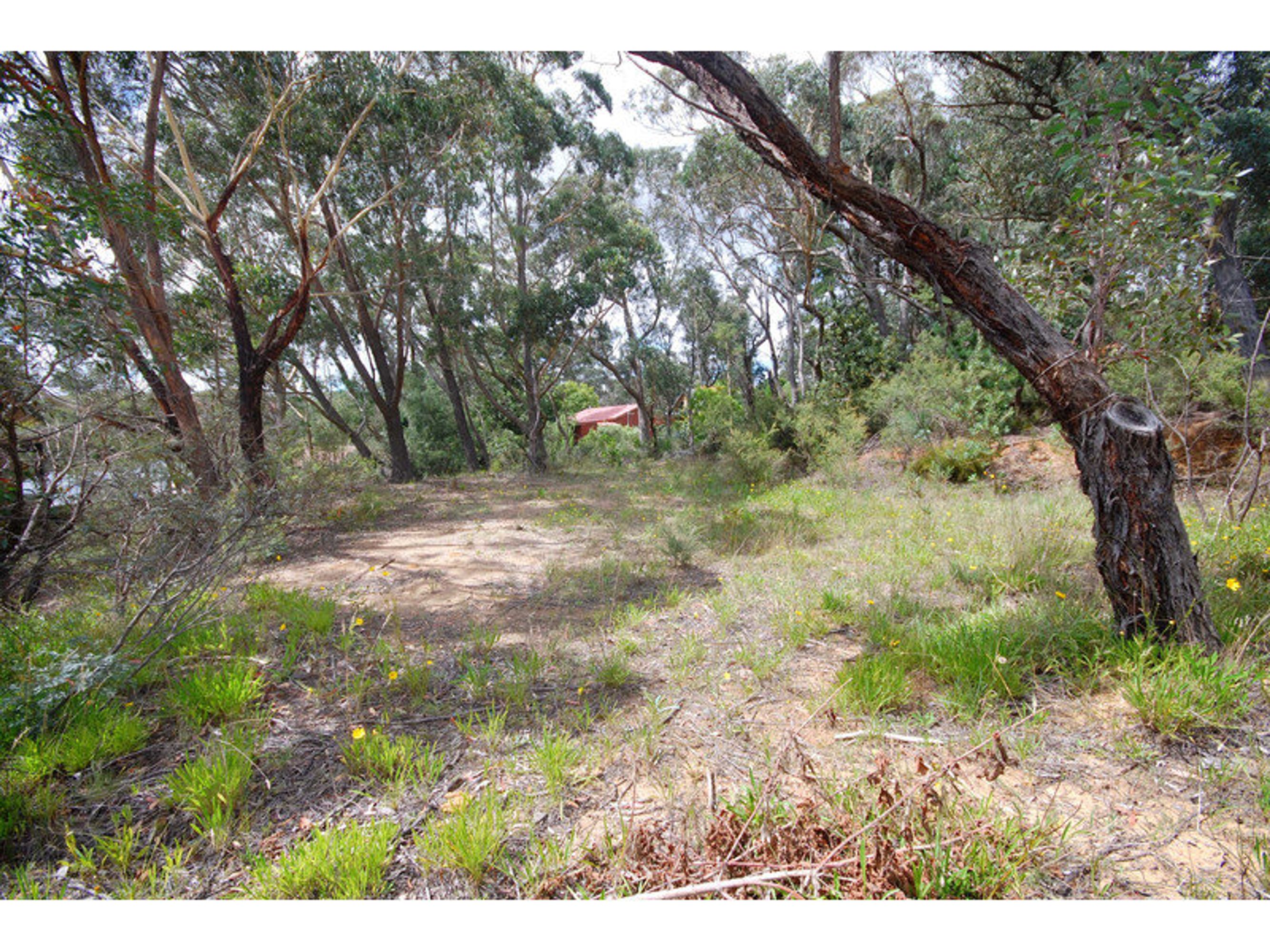 87 Minni Ha Ha Road, Katoomba - Thumbnail 2