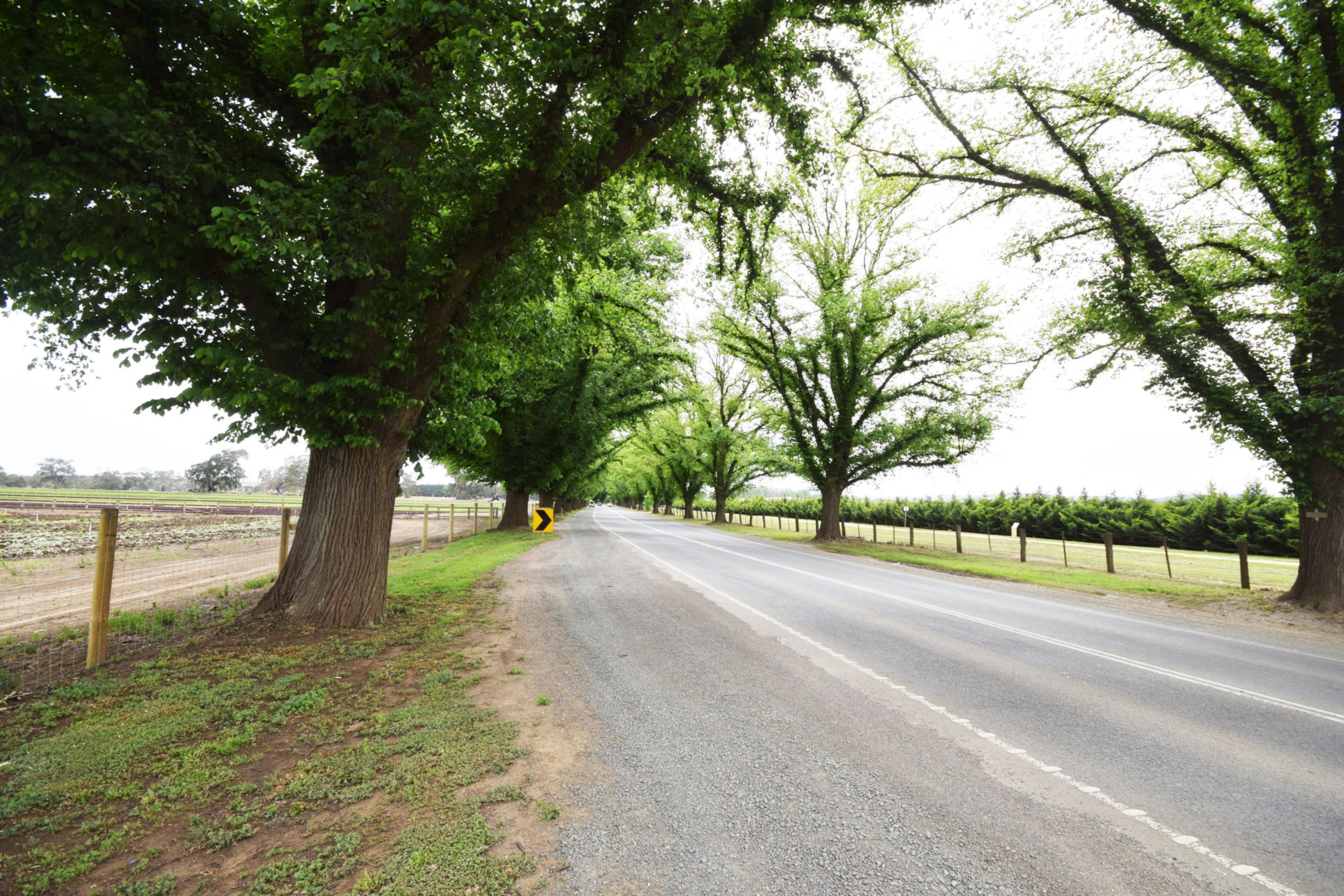 2 Darley Drive, Darley VIC 3340, Darley - Thumbnail 4