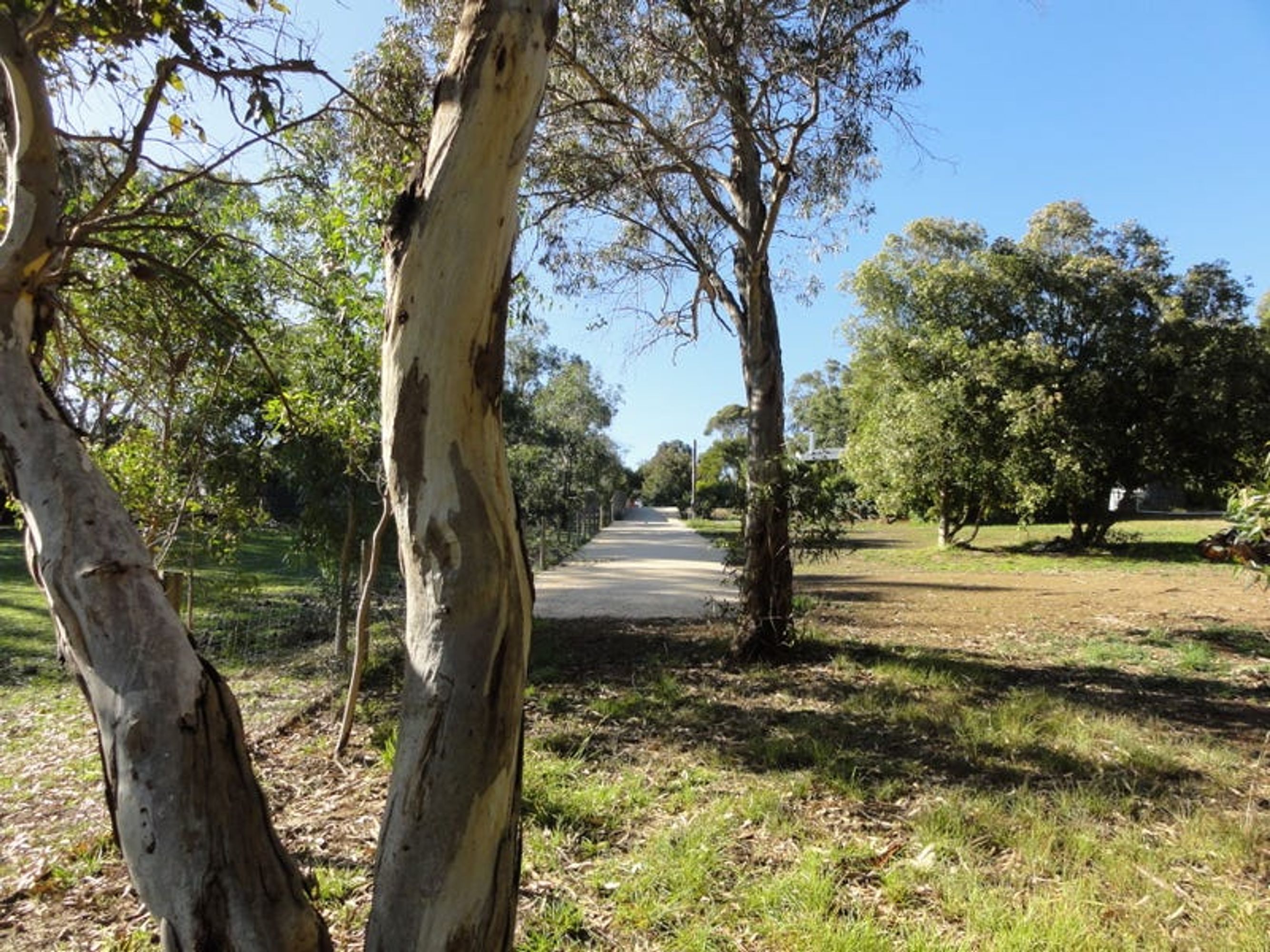 28 Marianna Street, Echunga, SA 5153, Echunga - Thumbnail 6