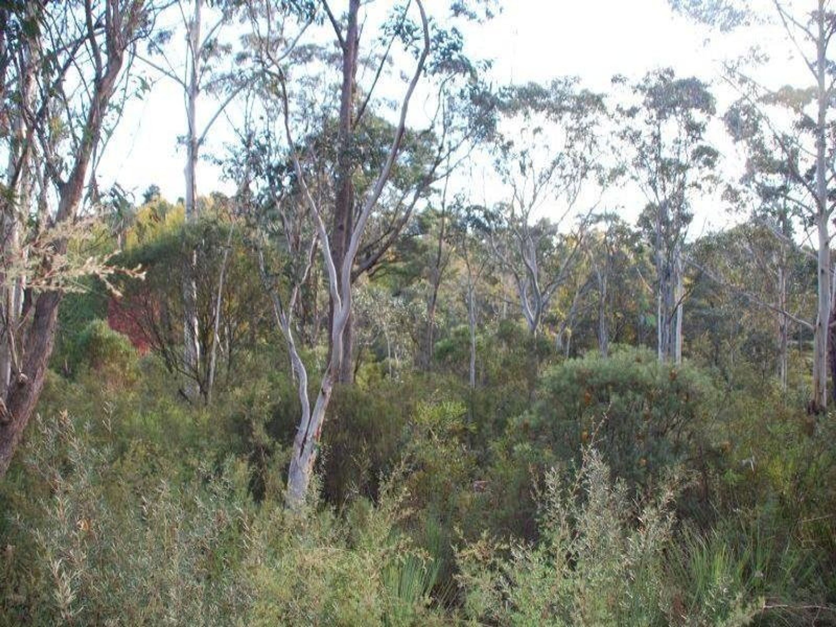 65 Twynam Street, Katoomba - Thumbnail 3