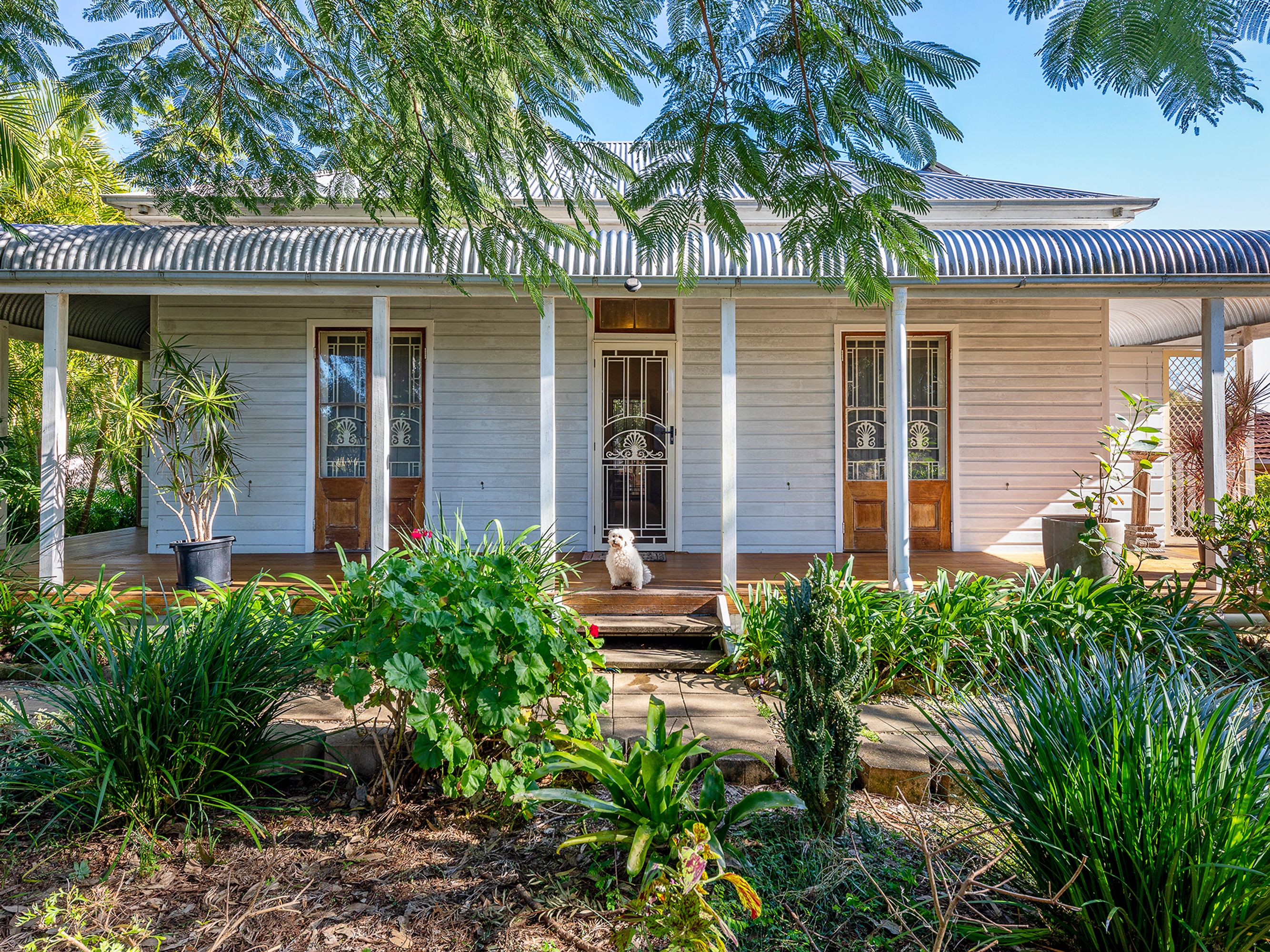 51 Rawdon Street, Lawrence - Image 1
